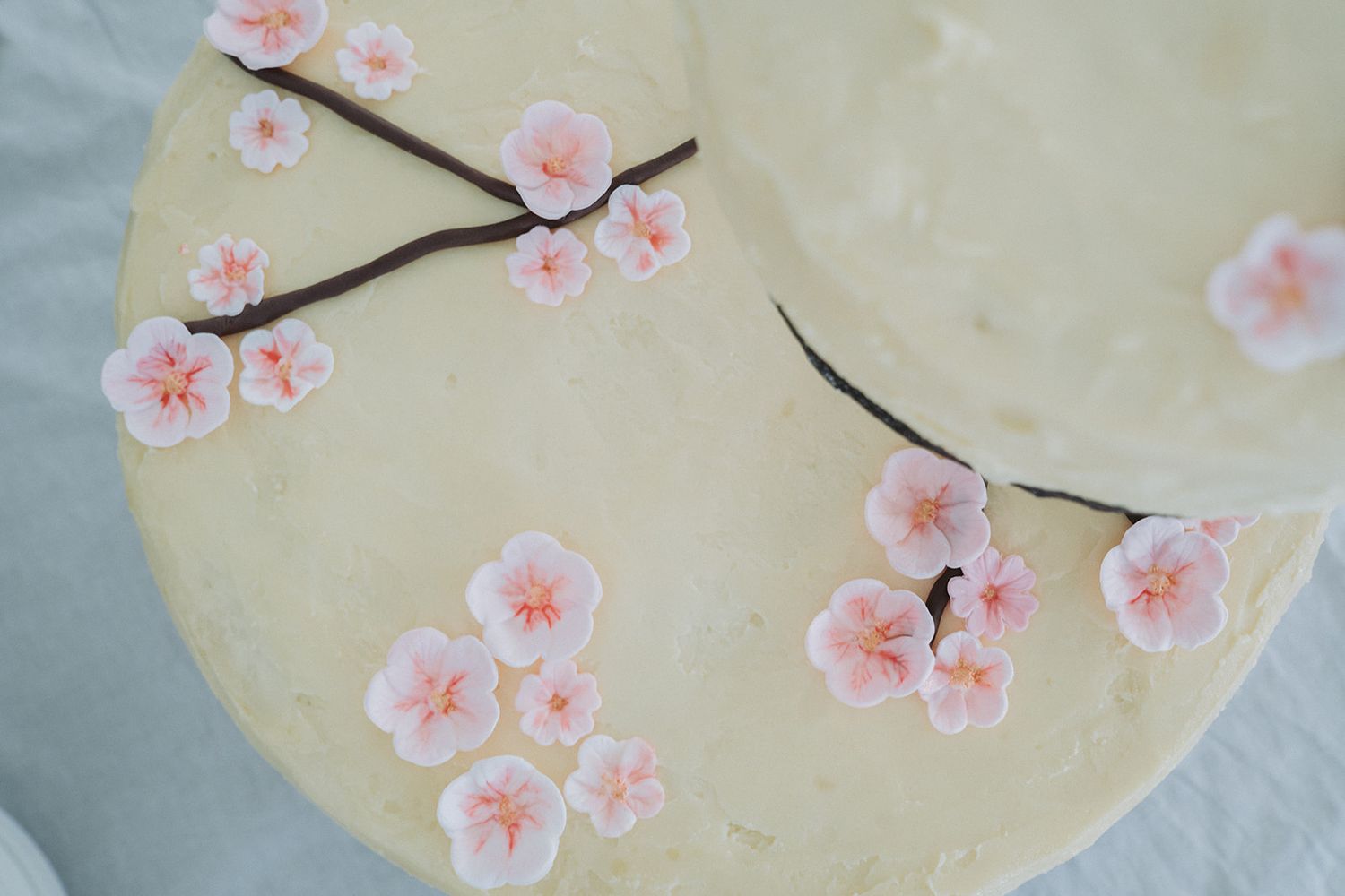 Detail of delicate pink cherry blossoms painted on a pale yellow background.