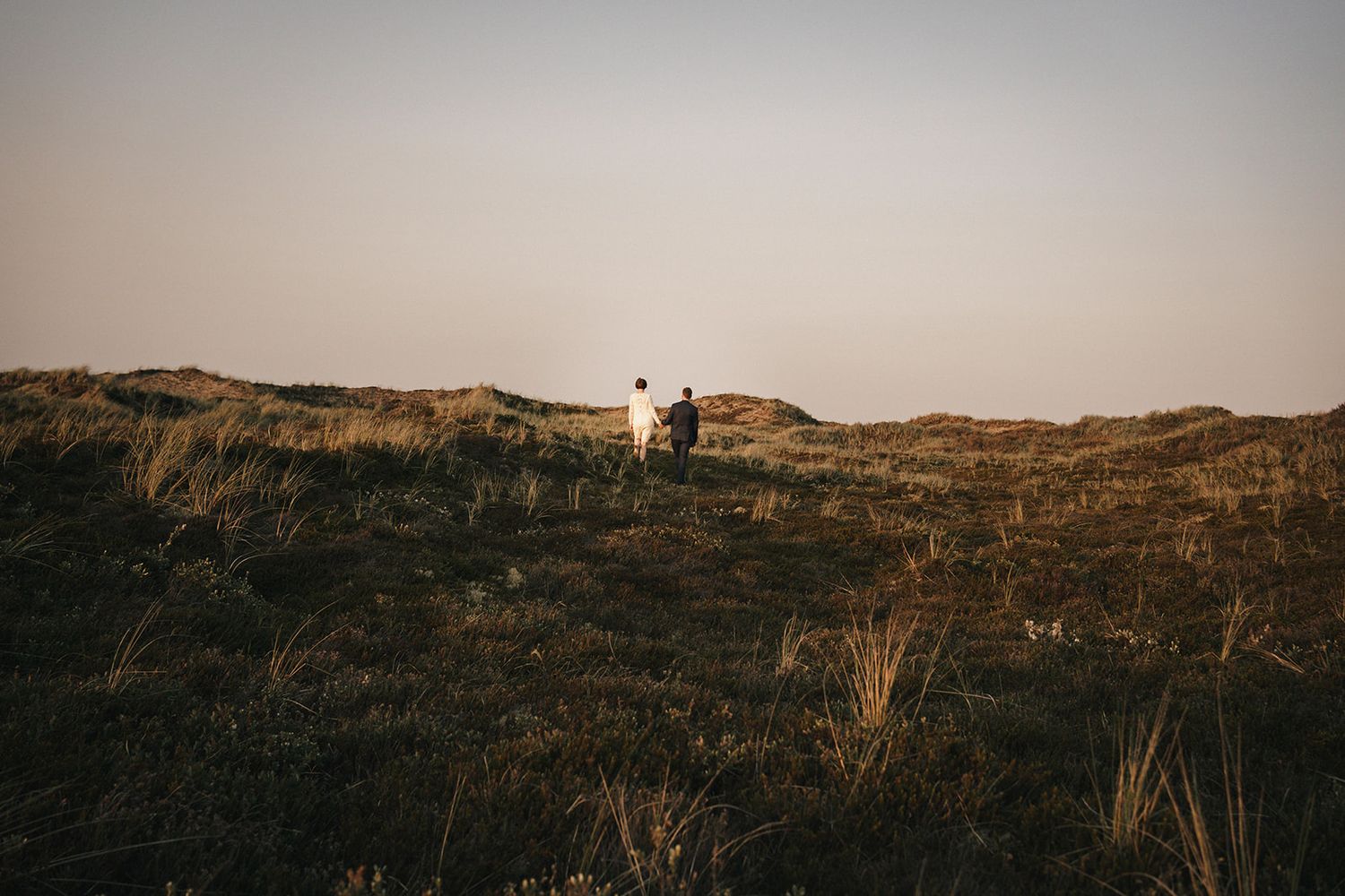 A white dog peeks over the crest of a grassy hill at sunset, silhouetted against a pale sky.