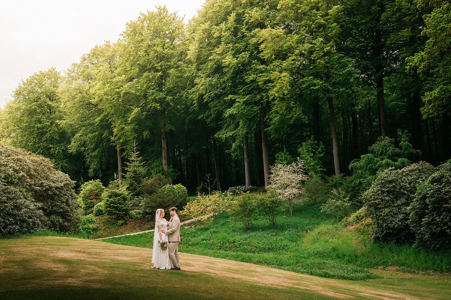 Romantic garden path scene with lush green forest backdrop and blooming shrubs.