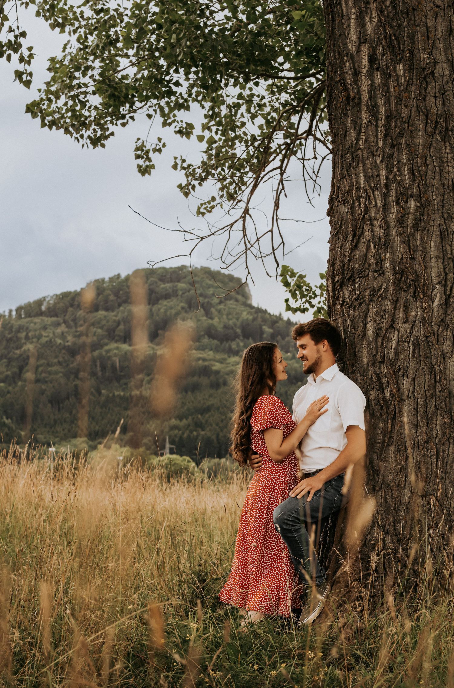 A couple shares an intimate moment in a golden meadow with mountains and trees in the background.