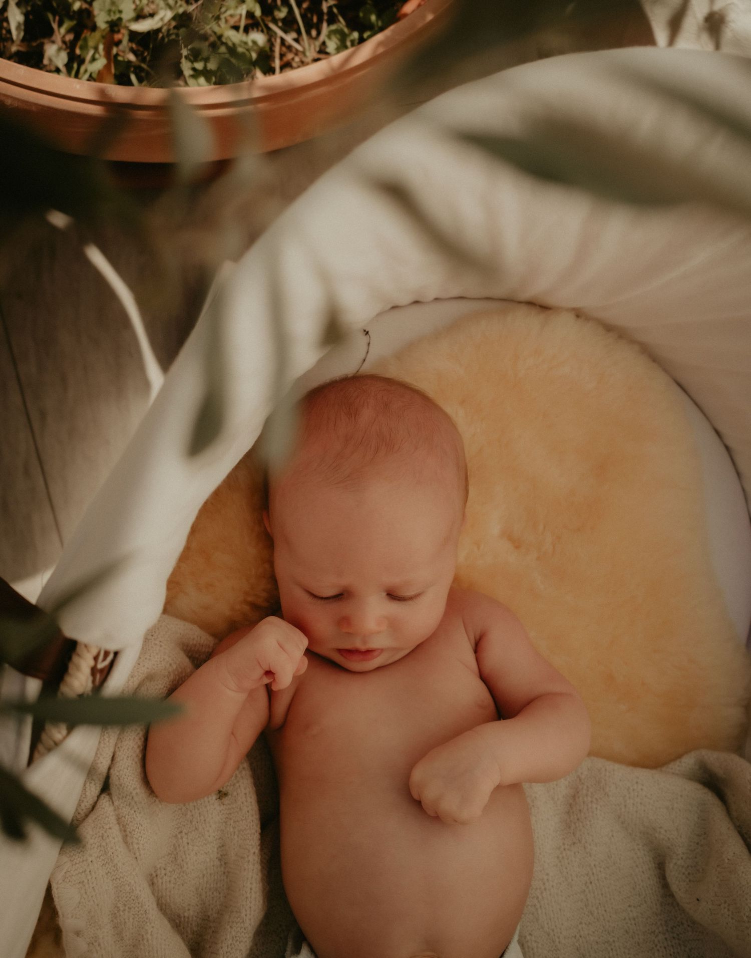 Newborn baby rests peacefully in soft white blankets during an intimate photo session.
