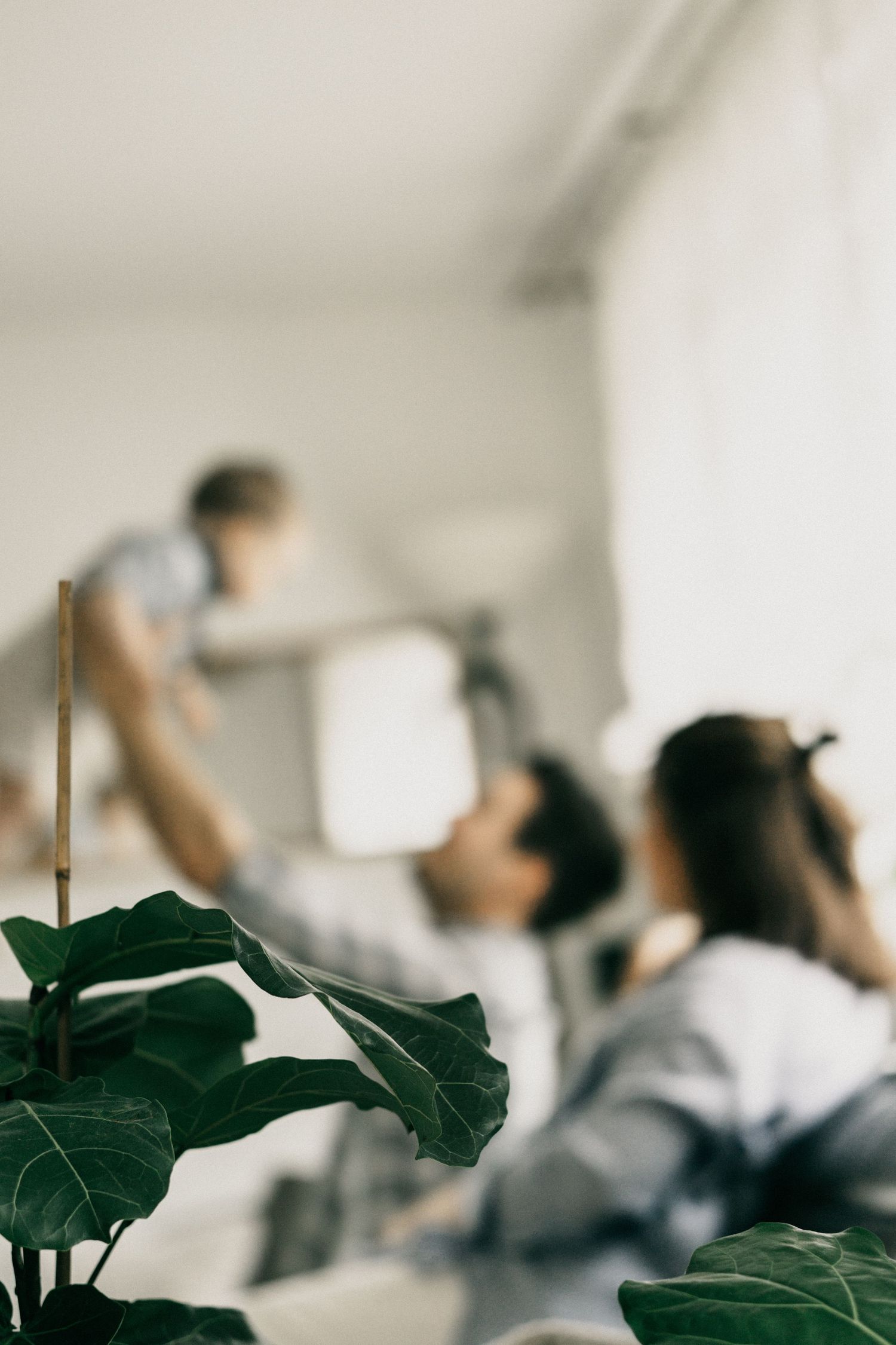 Blurred silhouettes of people in an office setting with green plant leaves in the foreground.