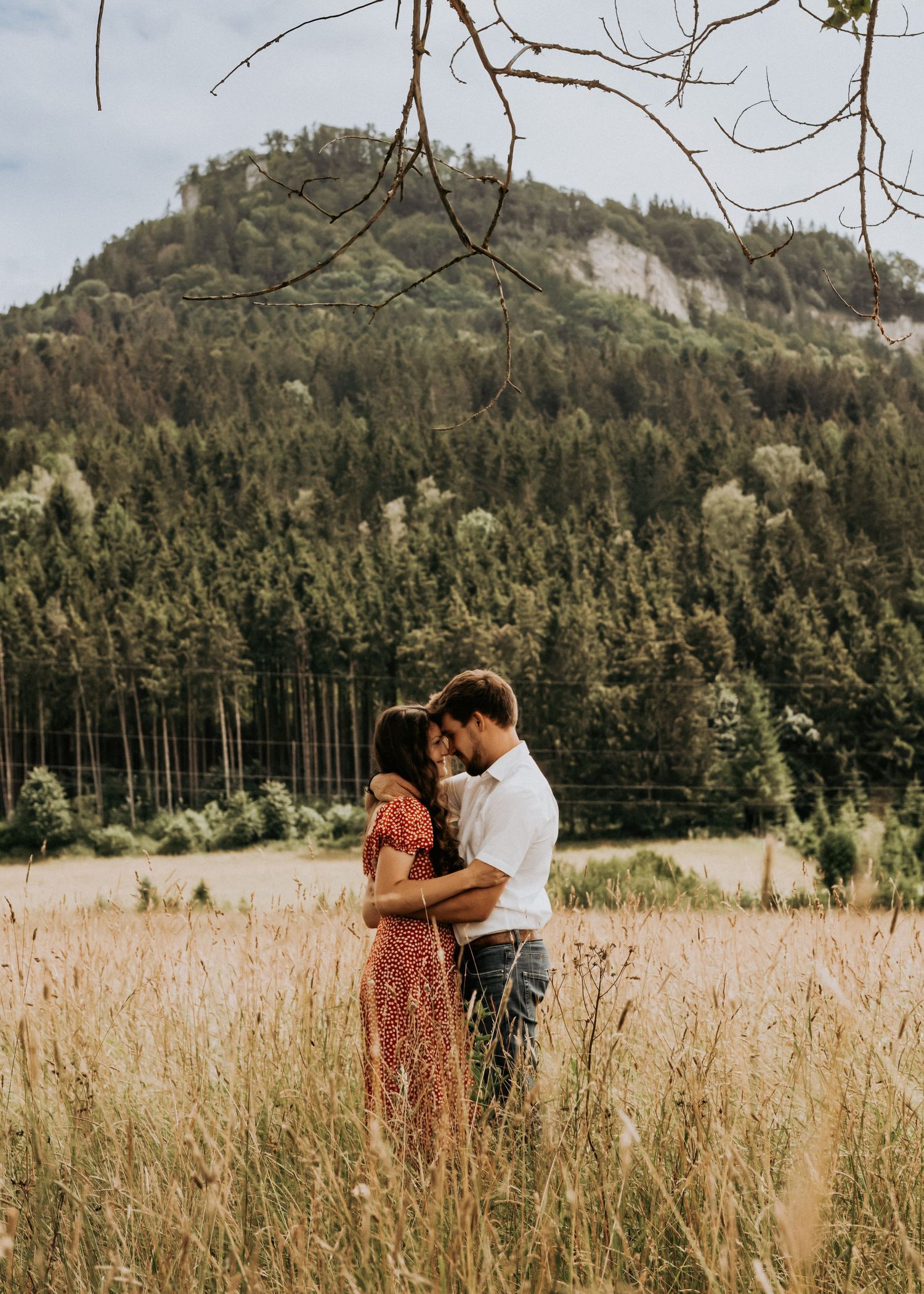 Couple embraces tenderly in a golden meadow with evergreen forest and mountains in the background.