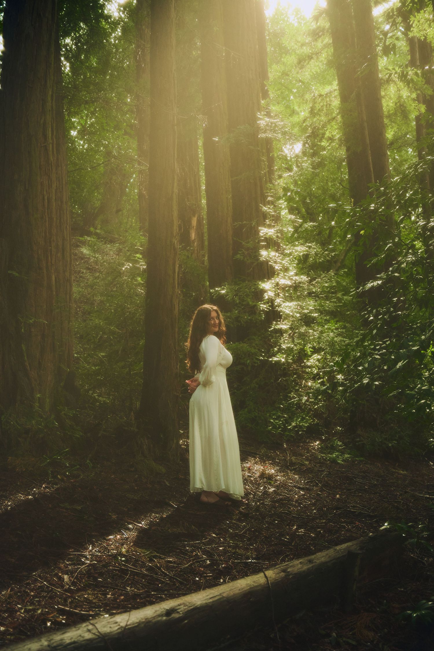 Woman in white dress standing in sunlit redwood forest, golden light filtering through tall trees.