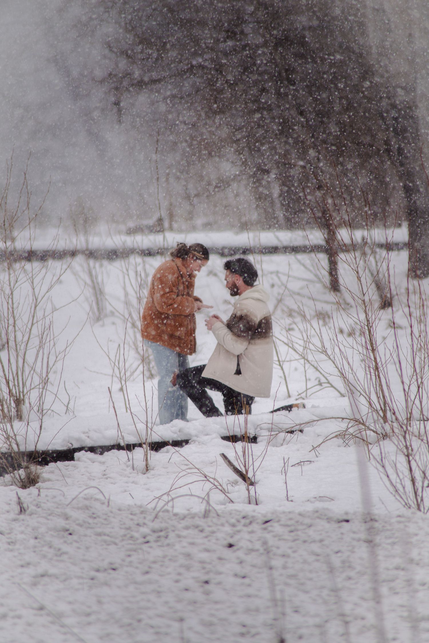 A couple sharing a special moment in the snow surrounded by bare winter trees.