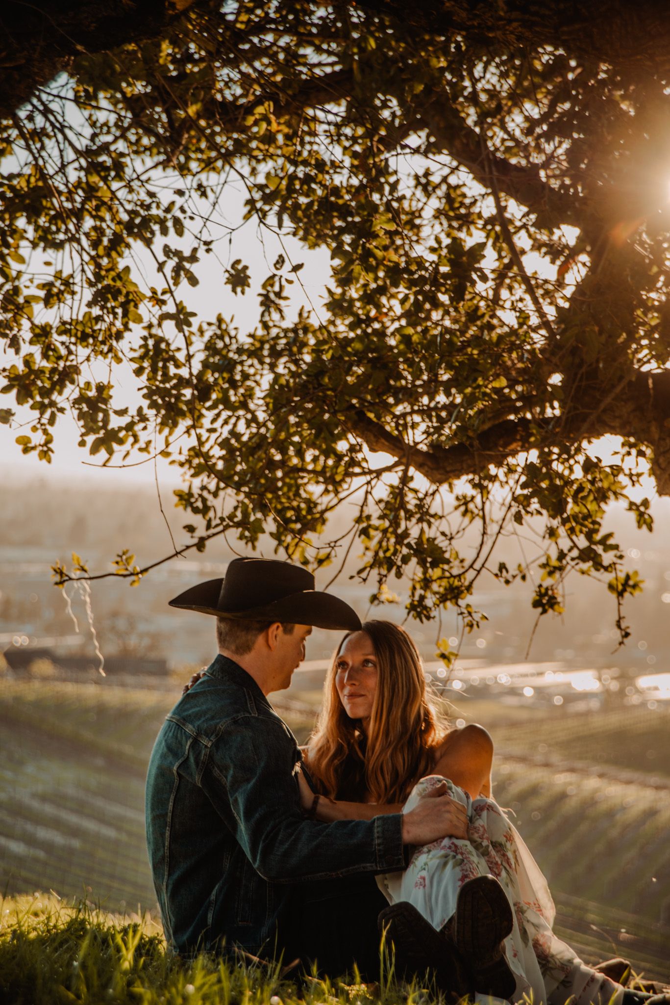 A romantic sunset moment under golden tree branches overlooking vineyard hills.