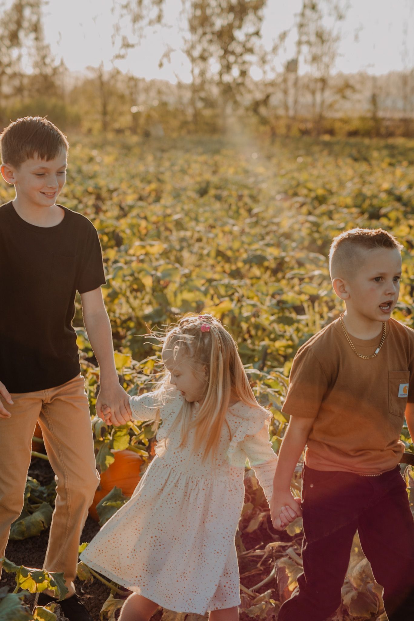 Children walking together through a sunlit pumpkin patch during golden hour.