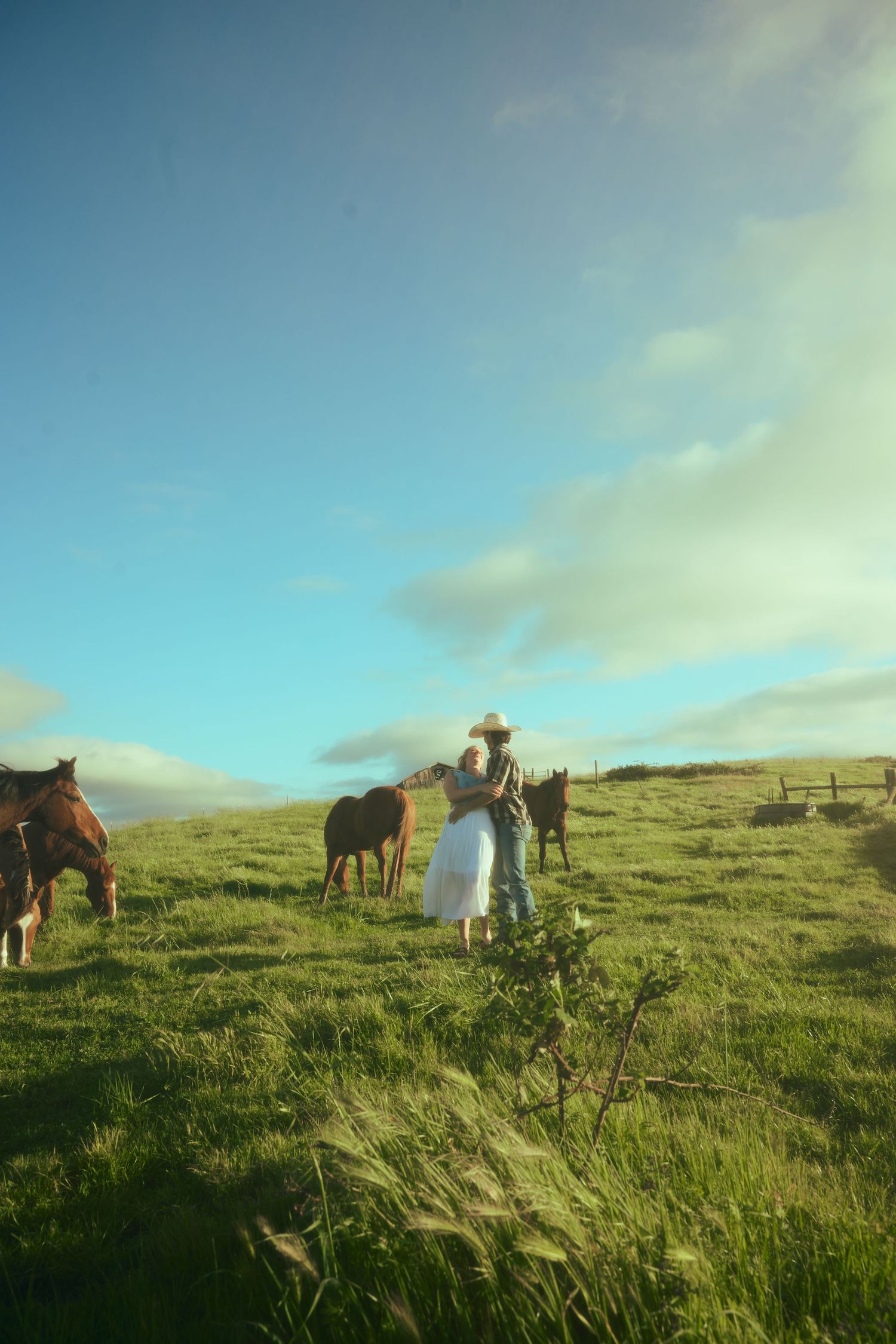 A cowboy and woman in a white dress stand among brown horses on a lush green pasture under a blue sky.