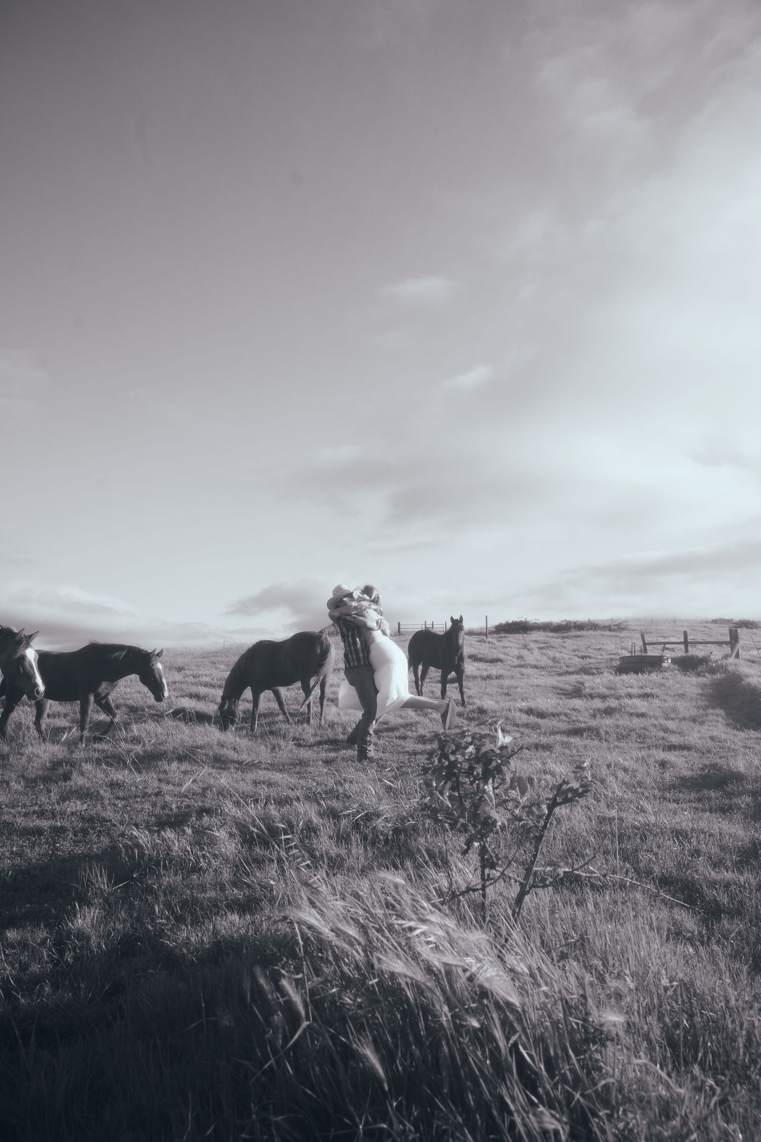 Black and white photo of horses grazing in a open field with a person in white dress standing among them.