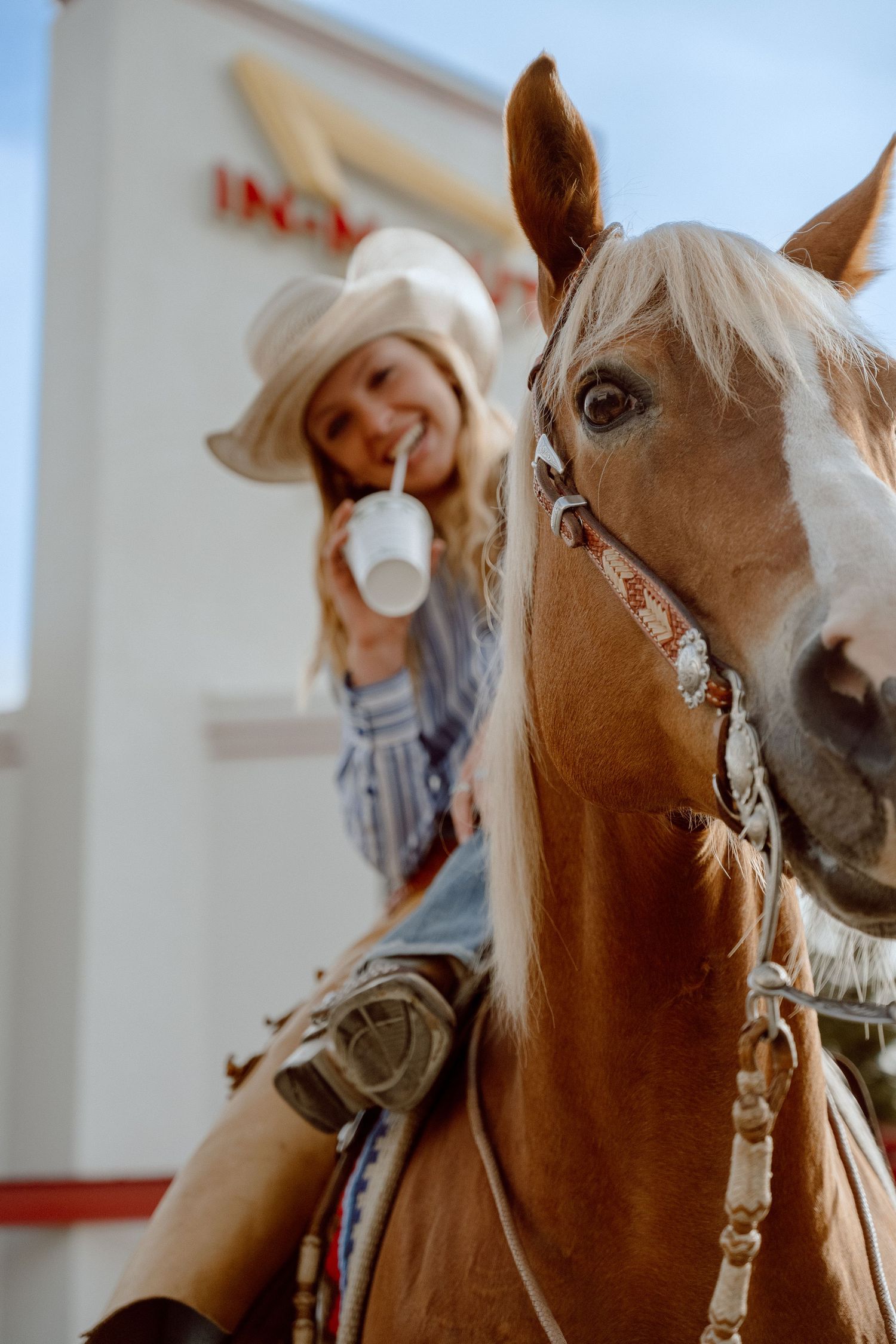 Close-up of a brown horse with decorative bridle at a drive-through window.