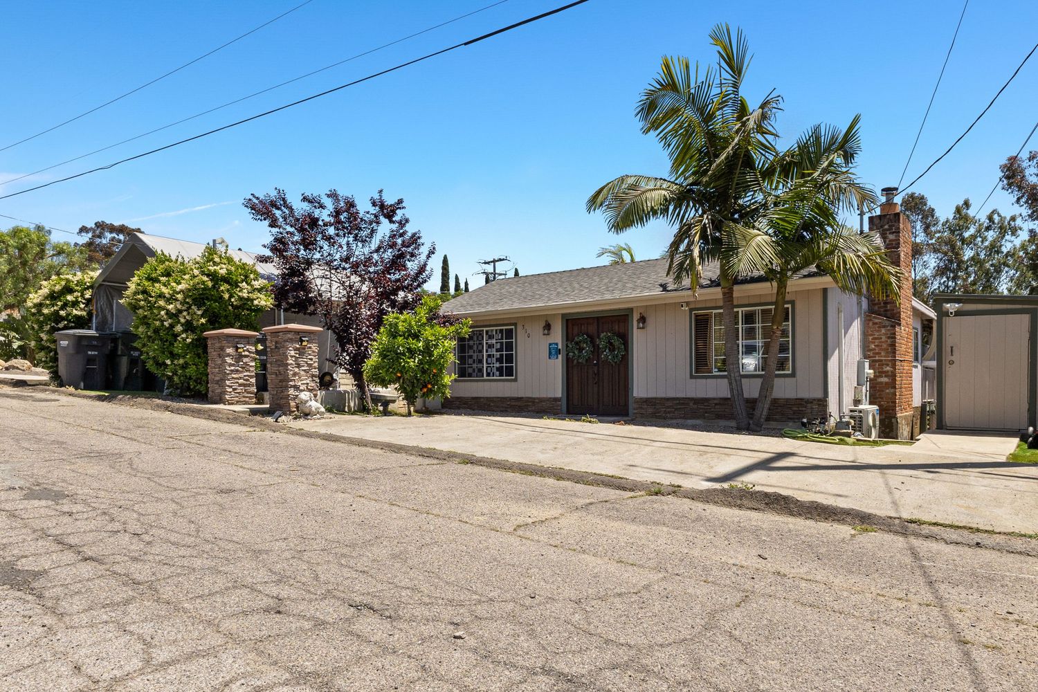 Street view of suburban houses with palm trees and driveways along a residential road.