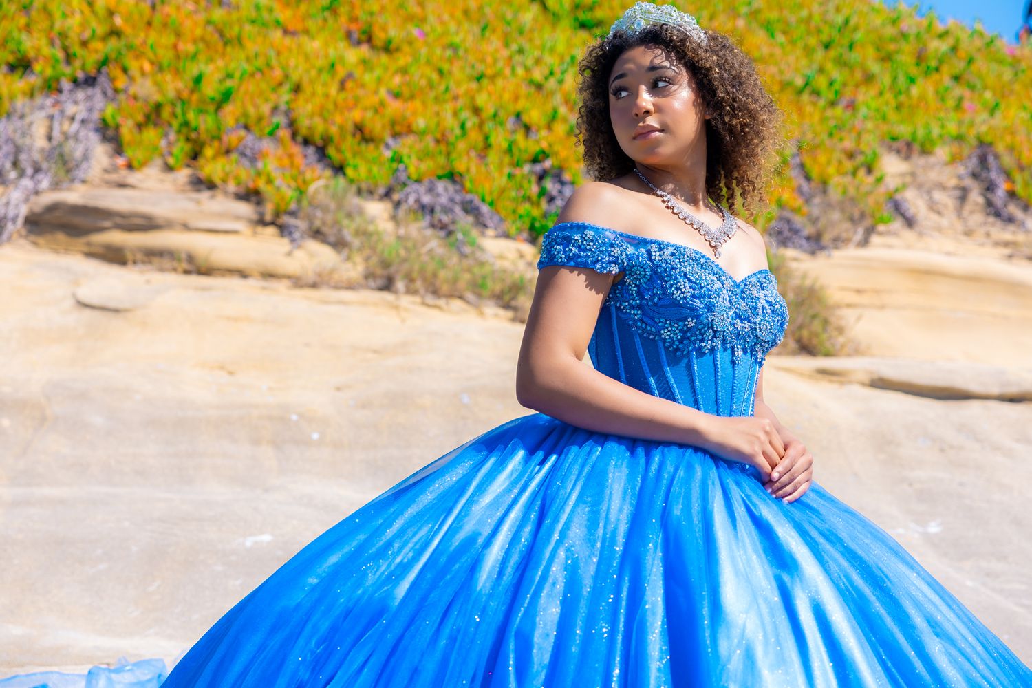 A person in a royal blue ballgown poses outdoors with yellow wildflowers in the background.