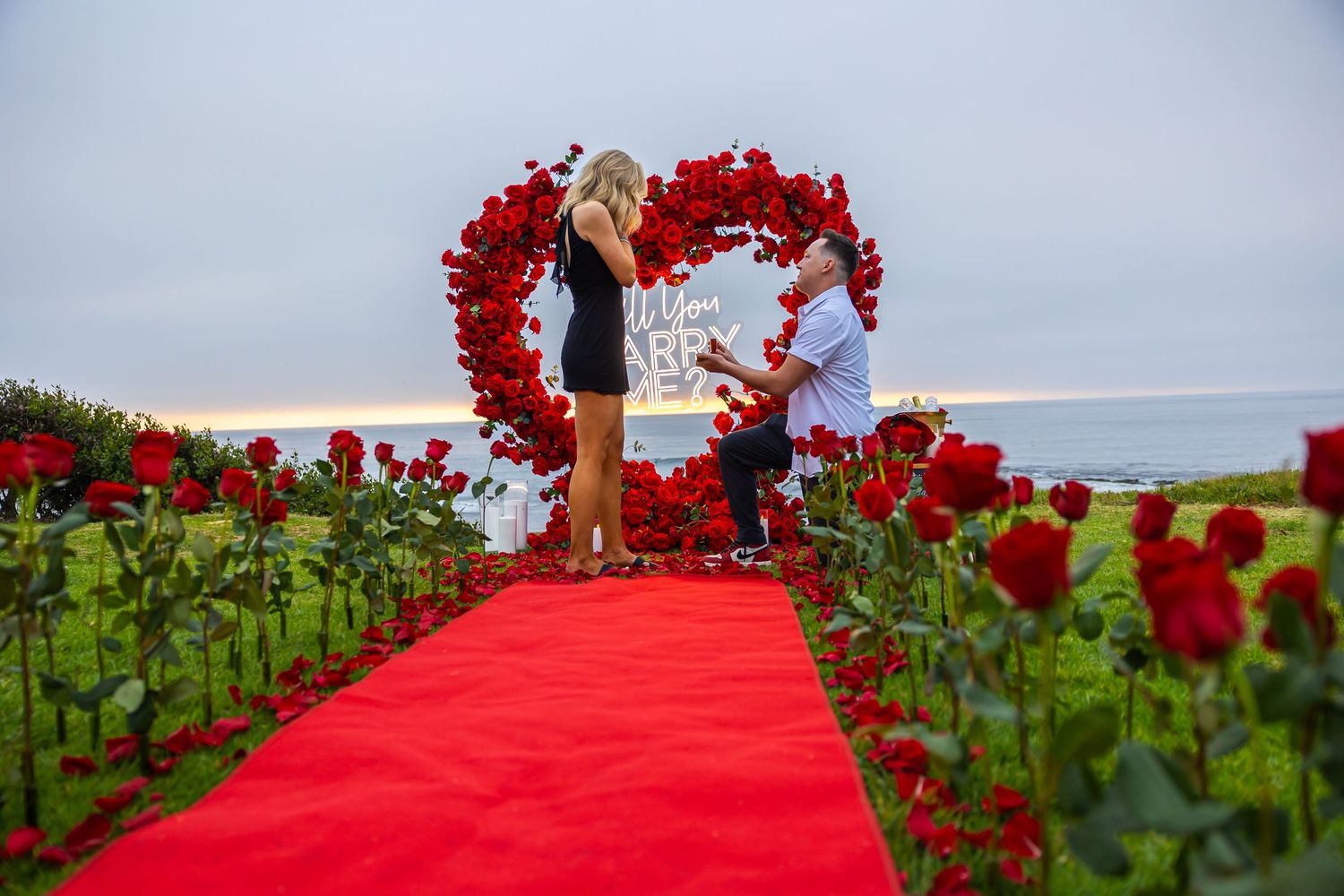 Red rose-lined walkway leading to romantic proposal setup by the ocean.