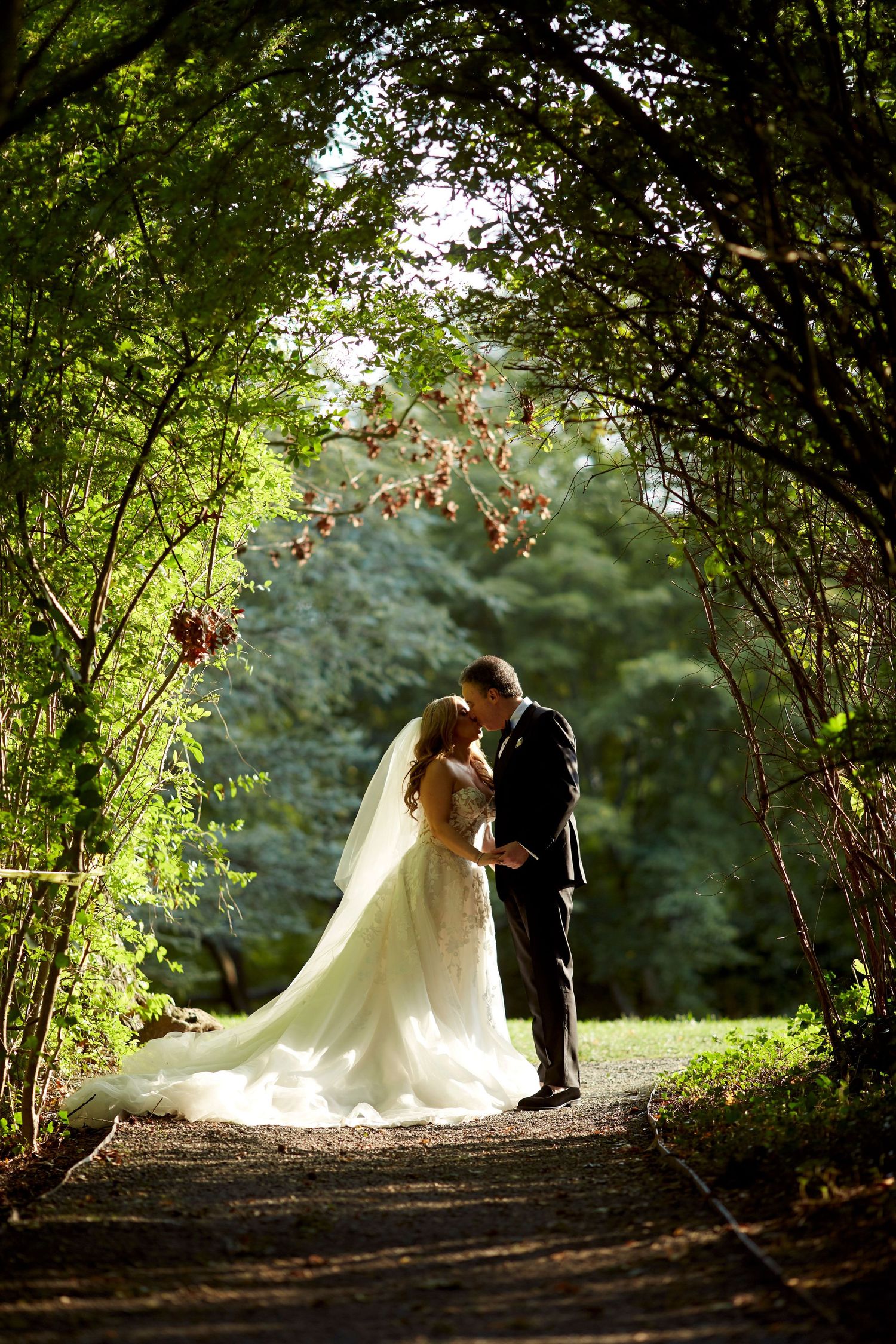 Romantic wedding portraits captured through natural tree archway in golden sunlight.
