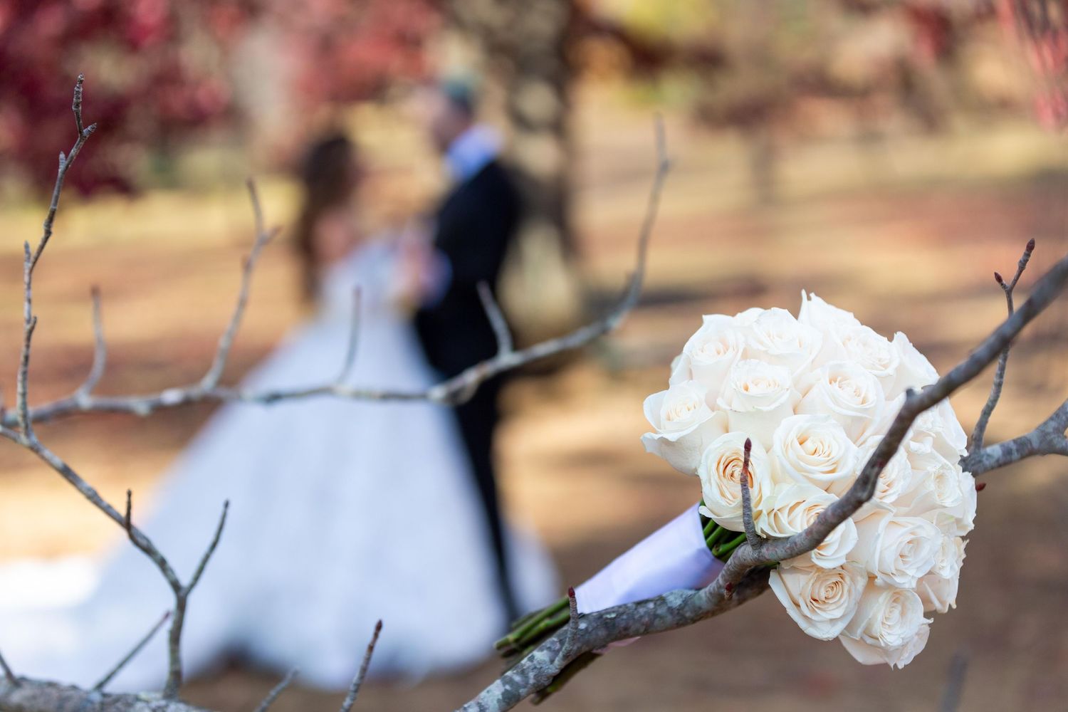 Wedding dress details against natural winter branches outdoors.