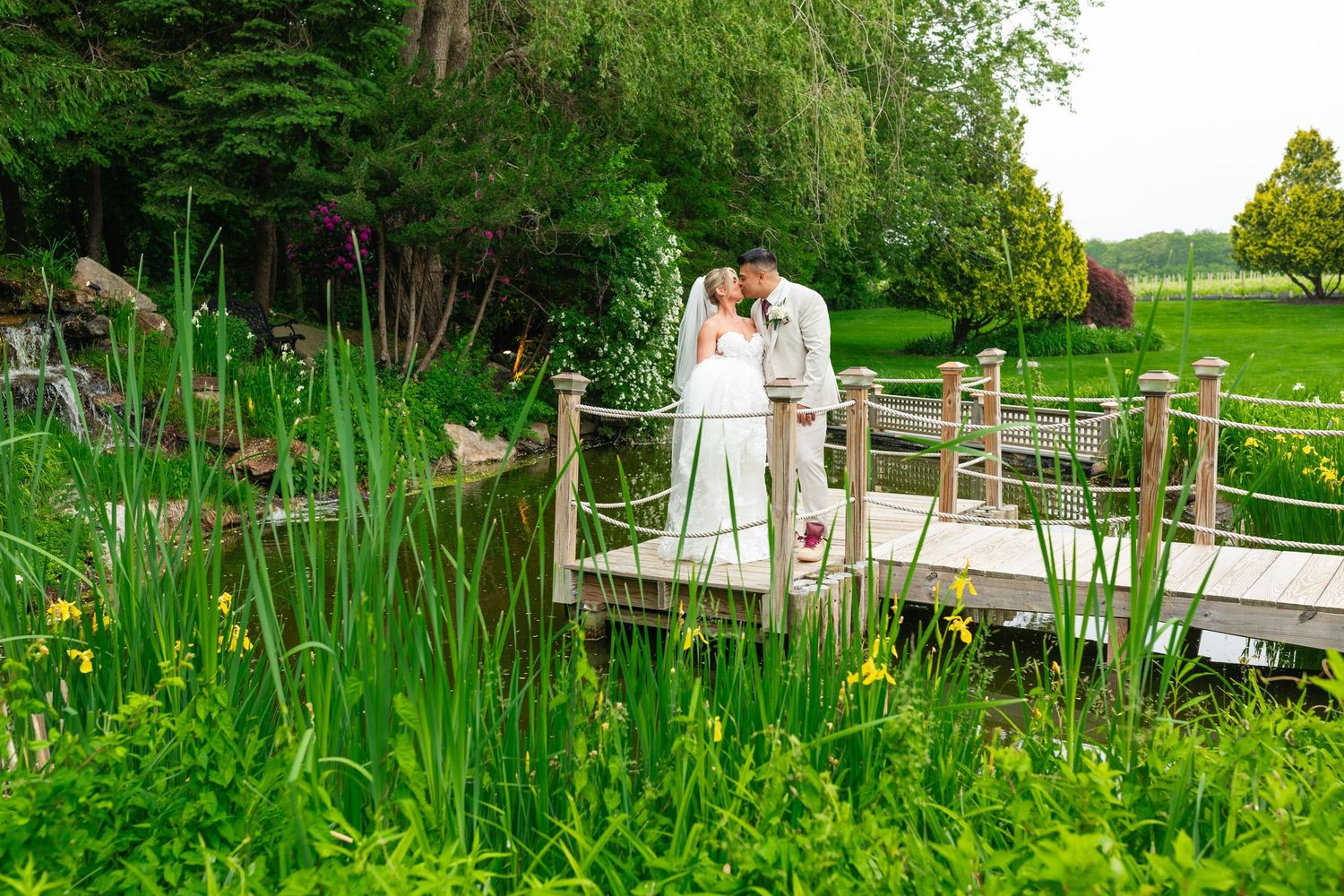Wedding couple poses in distance among tall green iris flowers and garden pathways.