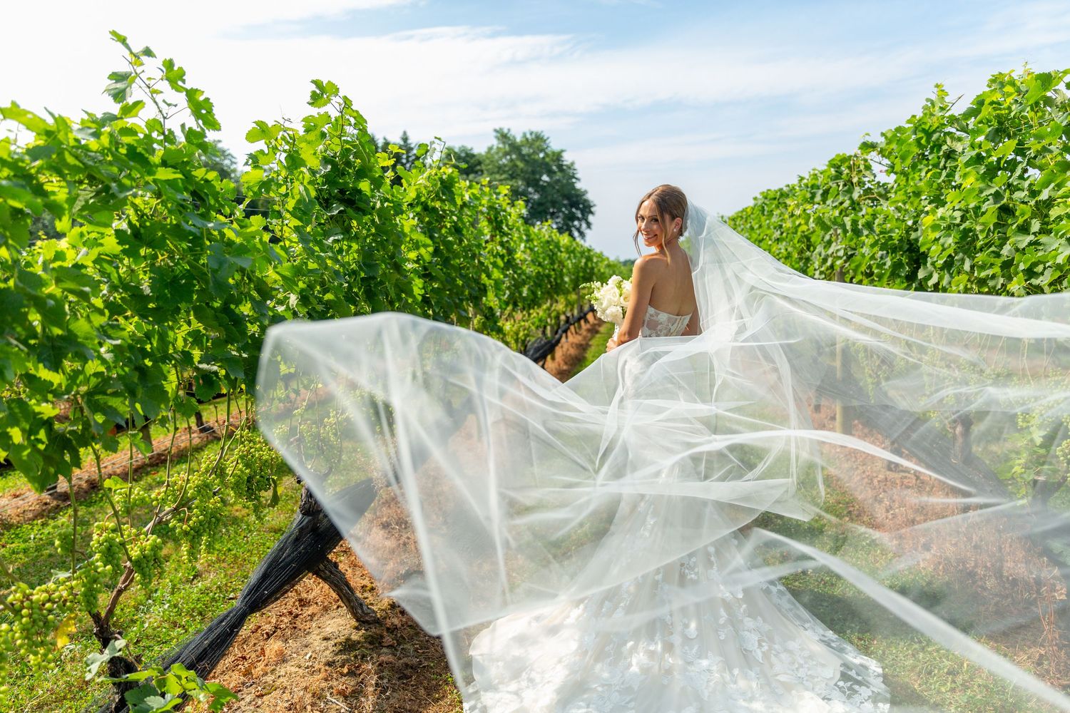 Flowing white veil billows dramatically in vineyard during wedding photoshoot.