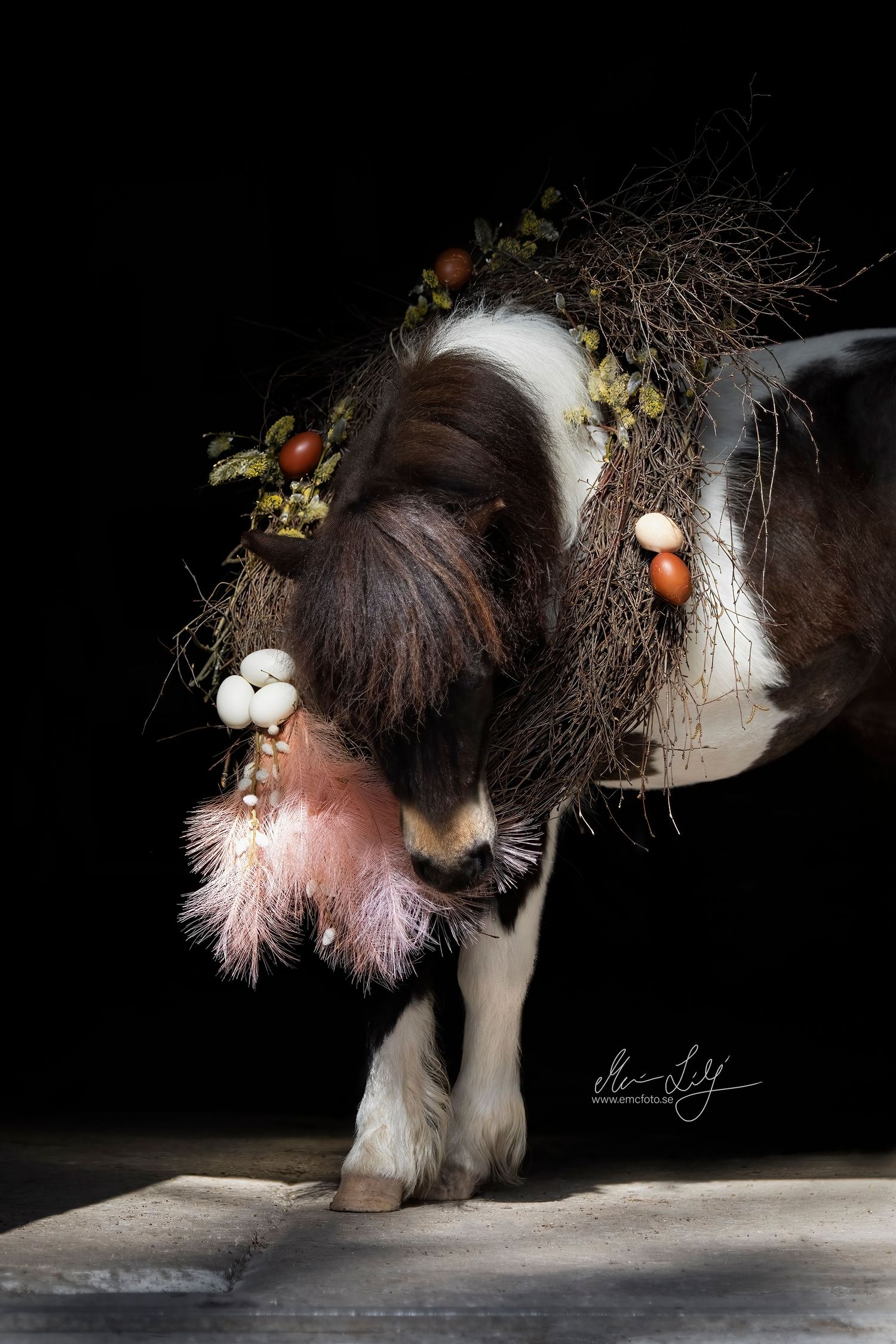 easter pony
