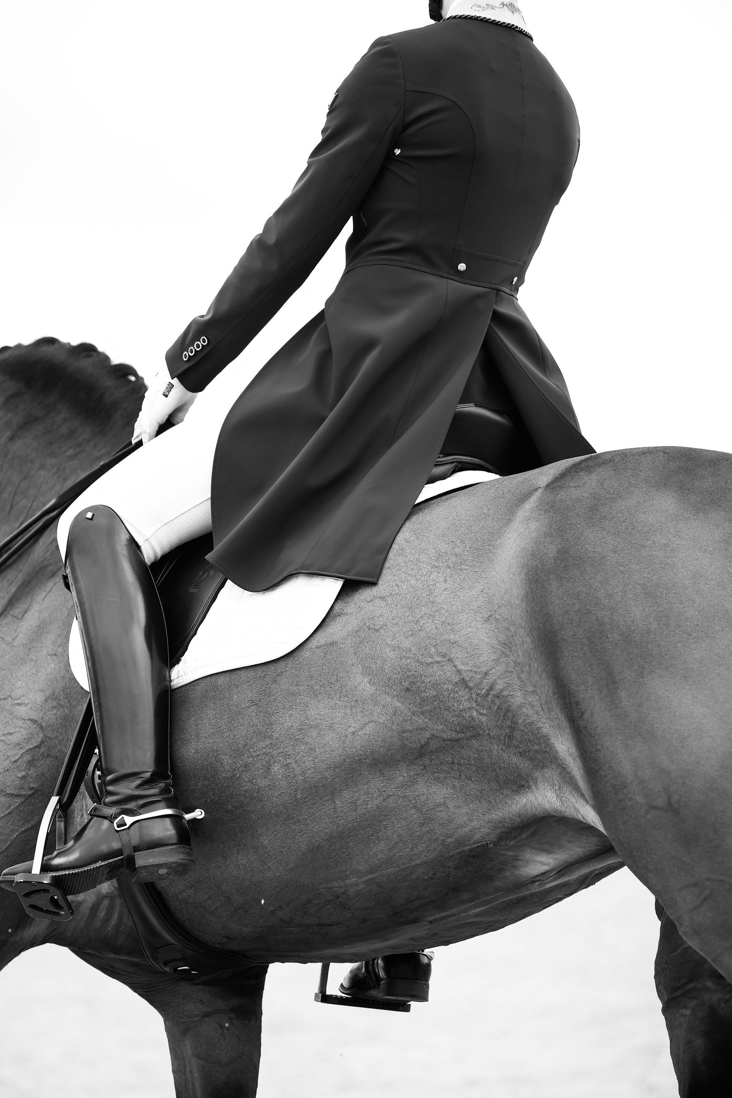 dressage details