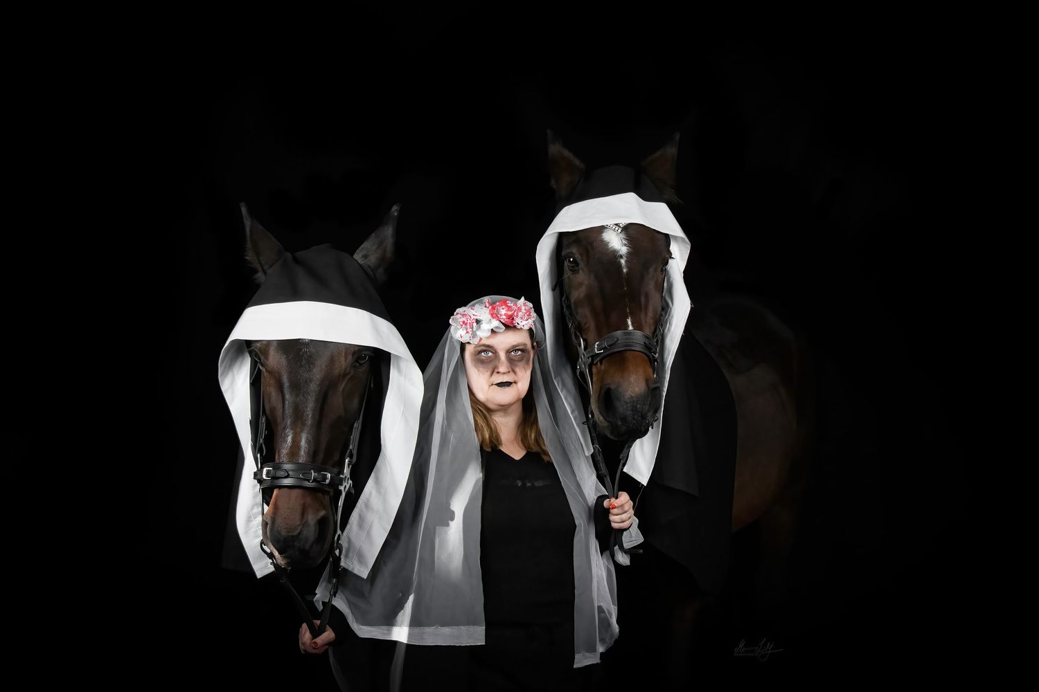 the nun and her horses
