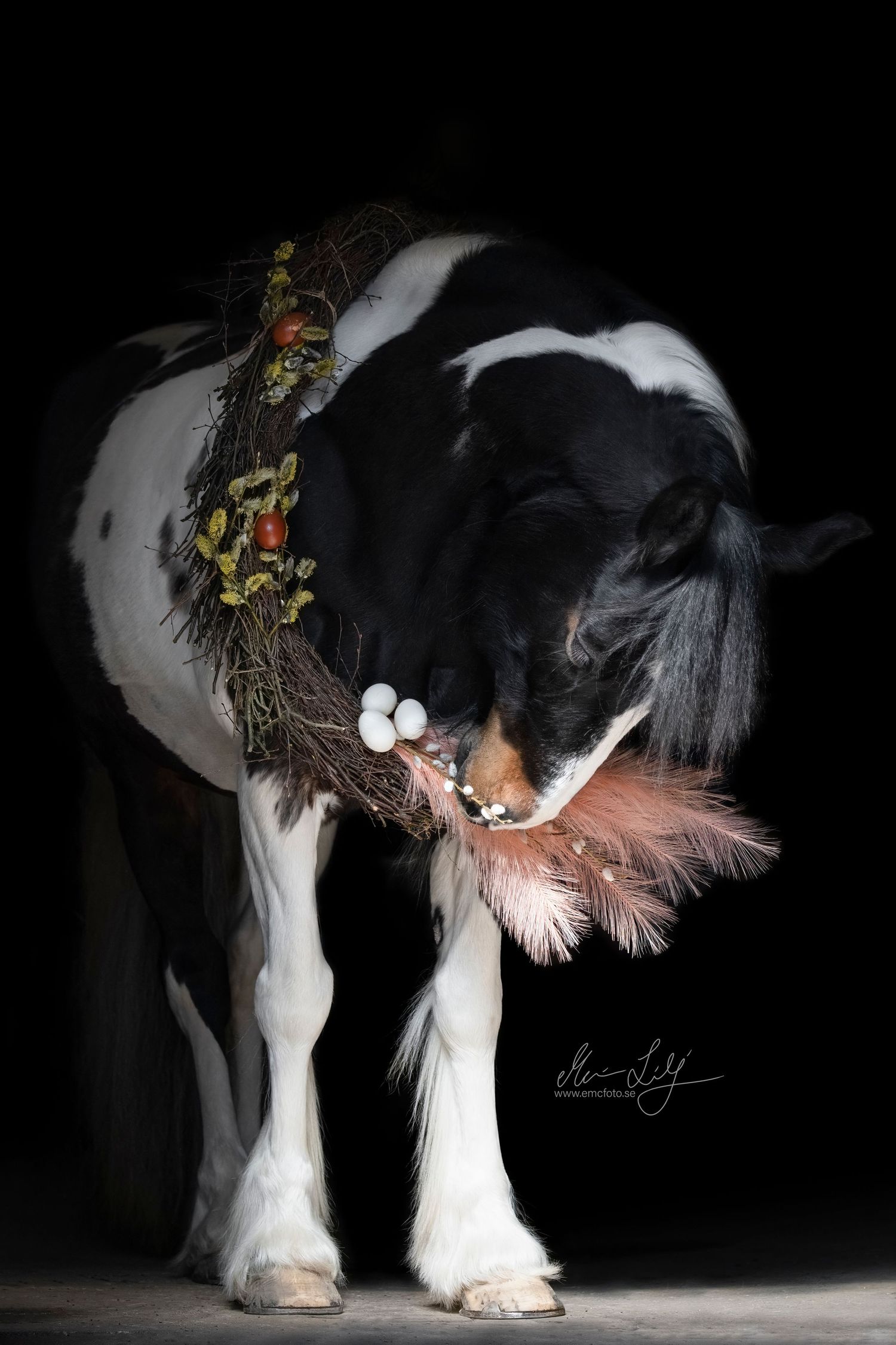 easter horse