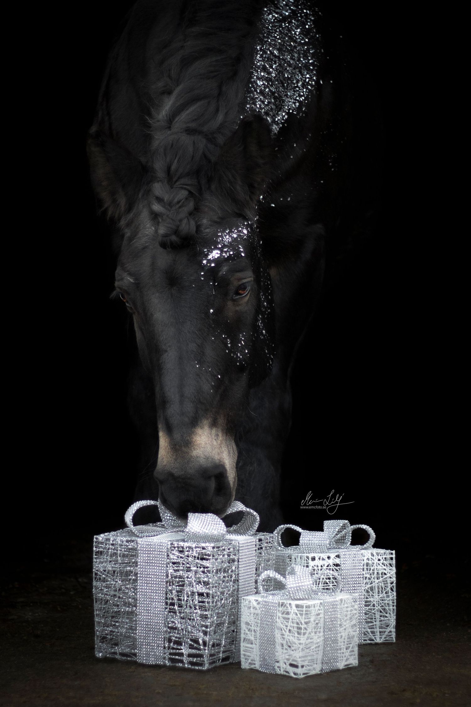 christmas gifts and horse