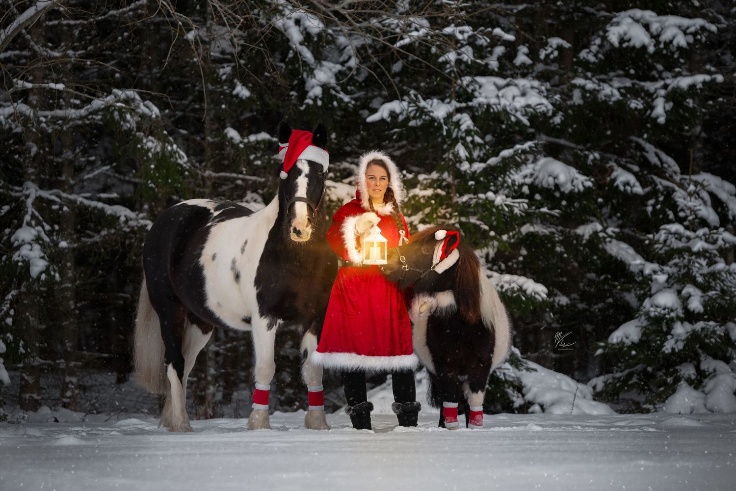 sagojul med häst och ponny utomhus
