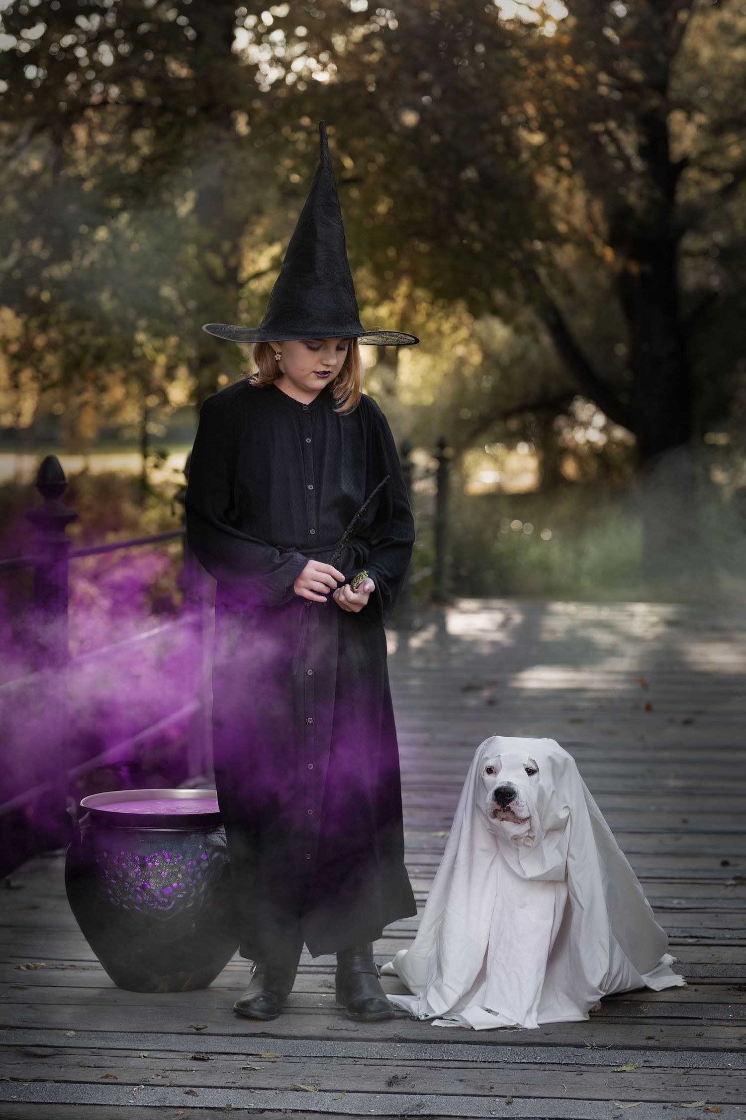 halloween spöke amstaff barn utomhus häxa