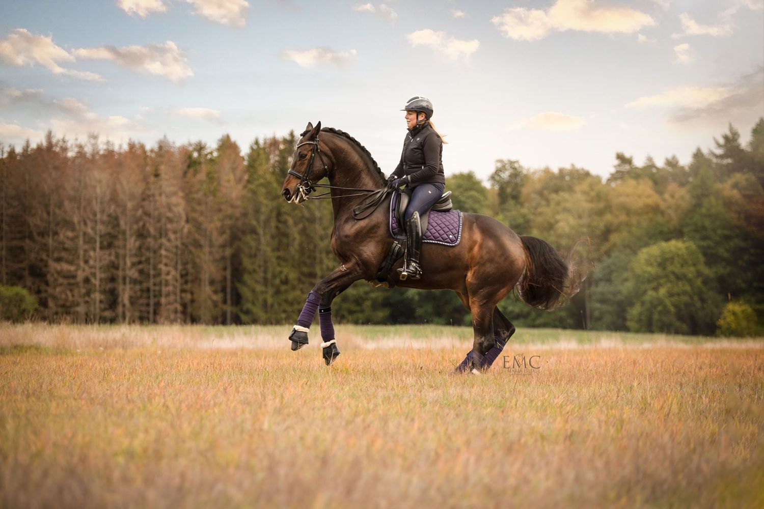 Malin Wisemark dressyr i frihet