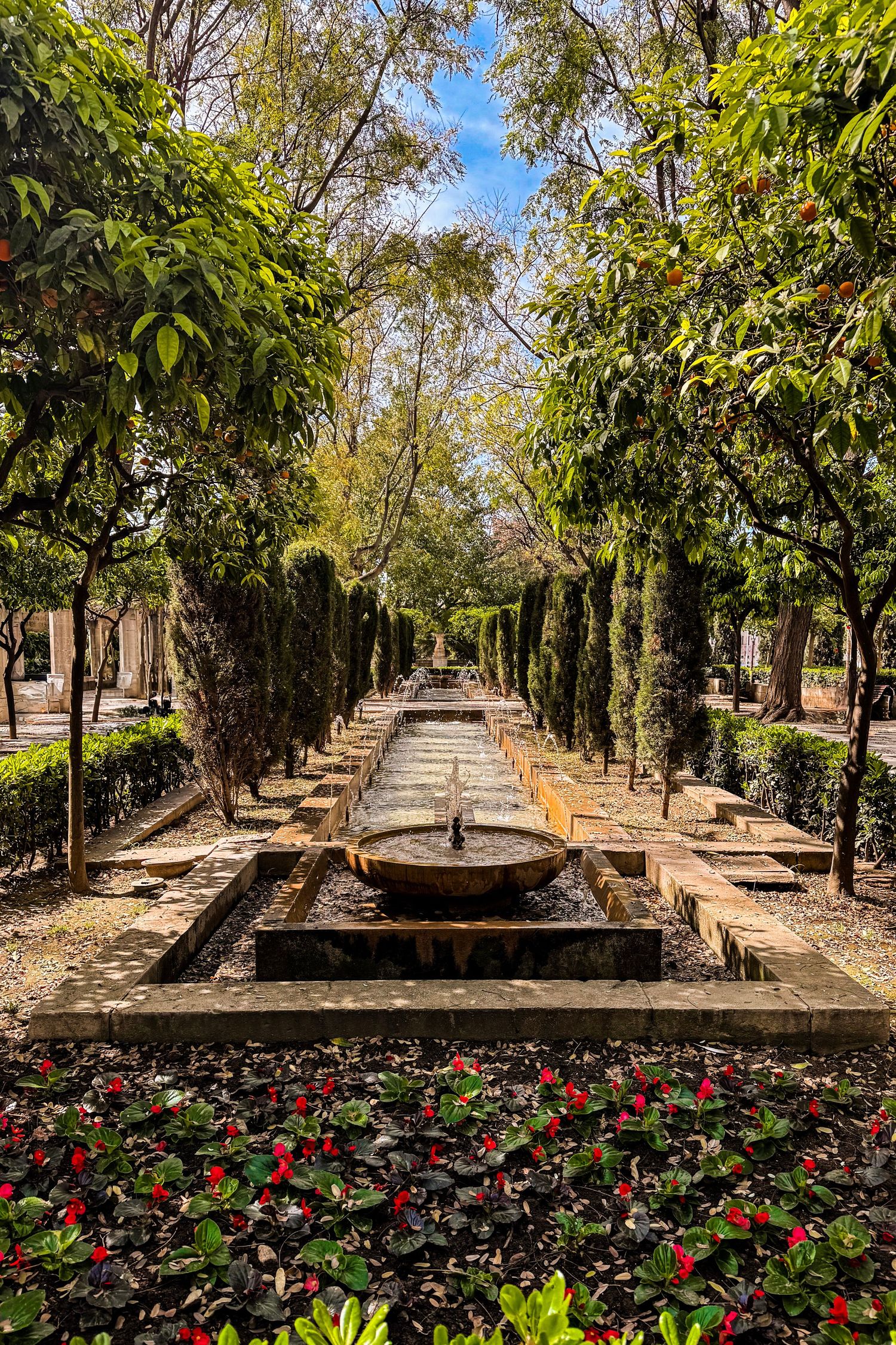 Tree-lined garden pathway with stone borders features colorful flower beds blooming with red and black petunias.