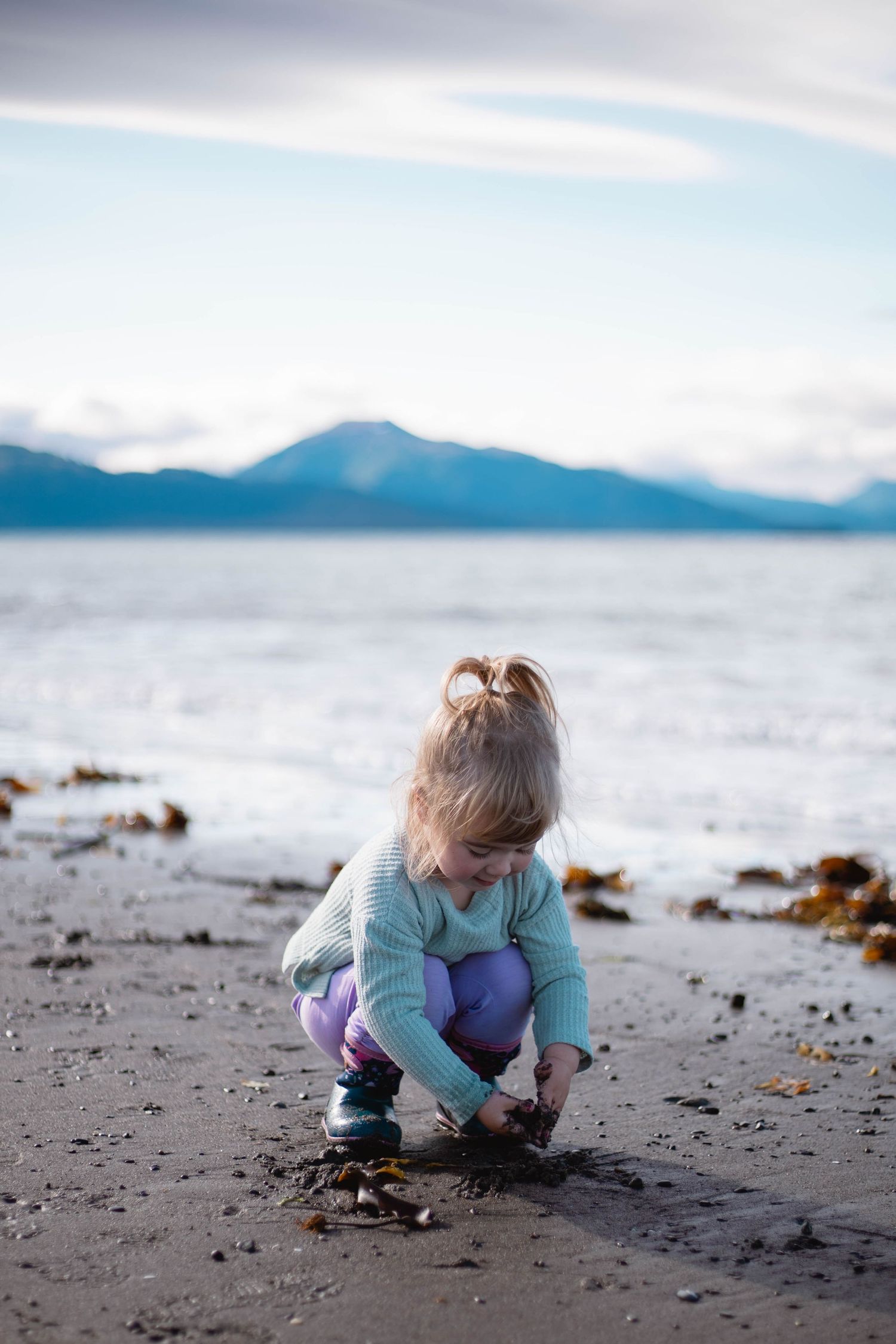 A small child crouches on a beach exploring seaweed and shells with mountains visible in the background.