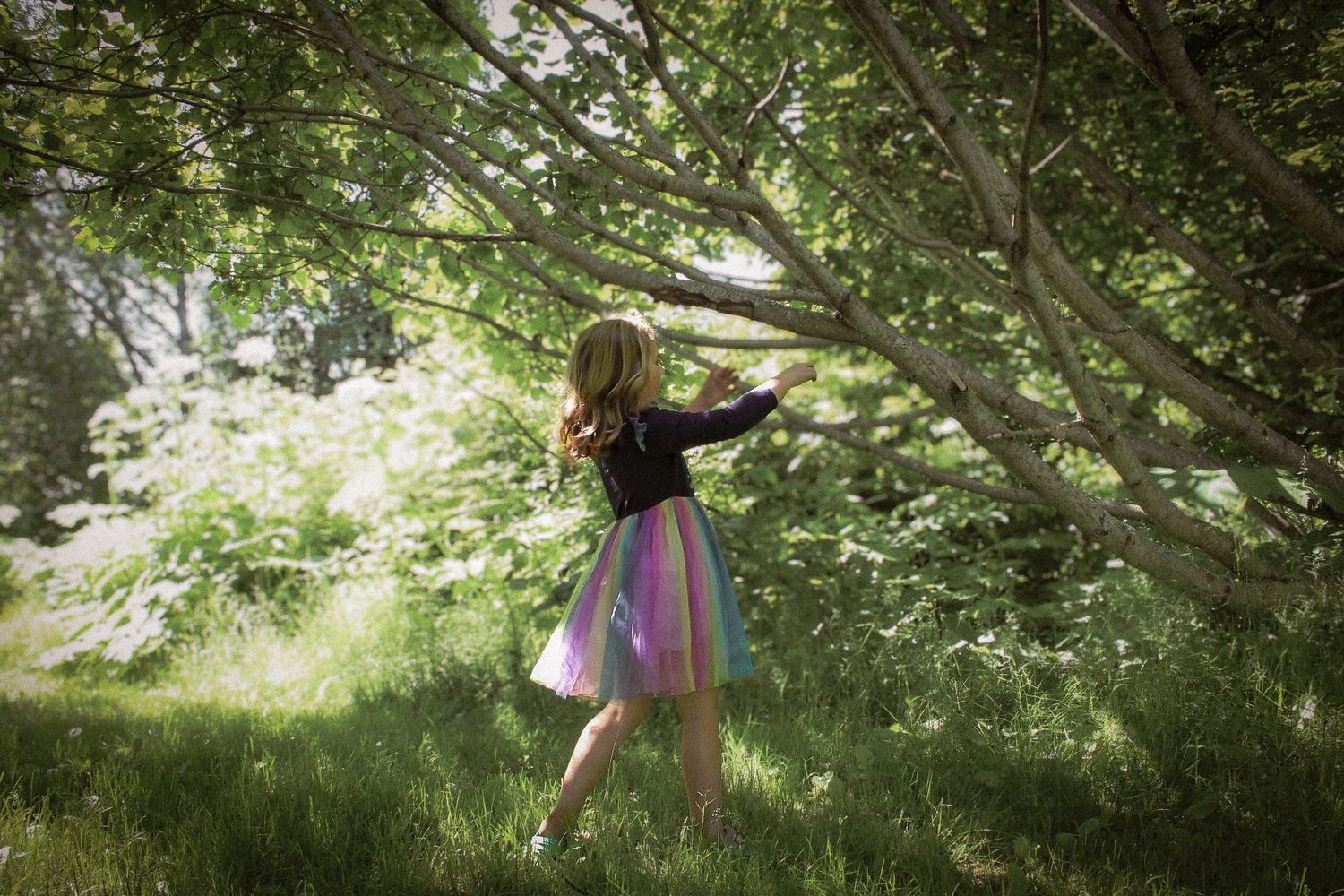 Person in a flowing skirt dances in dappled sunlight under tree branches.