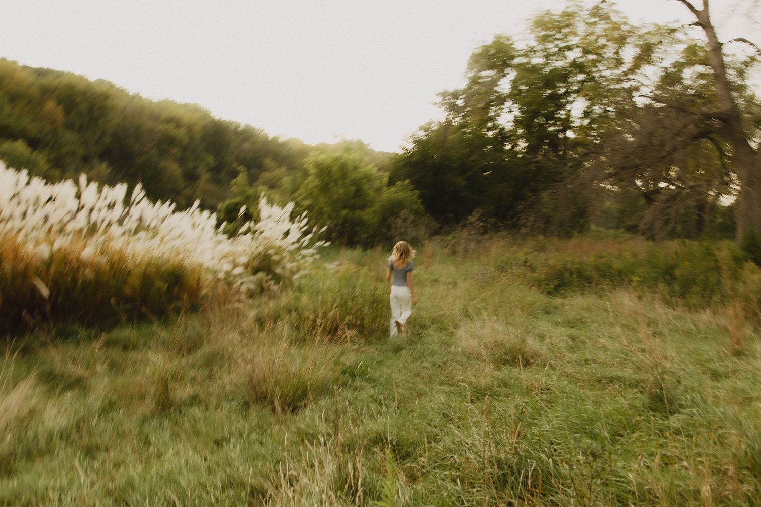 A golden retriever dog runs joyfully through tall grass in a sunny meadow during golden hour.