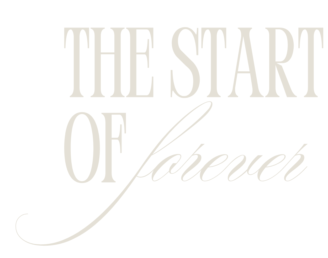 Decorative text reading 'THE STAR' appears in elegant typography against a light neutral background.