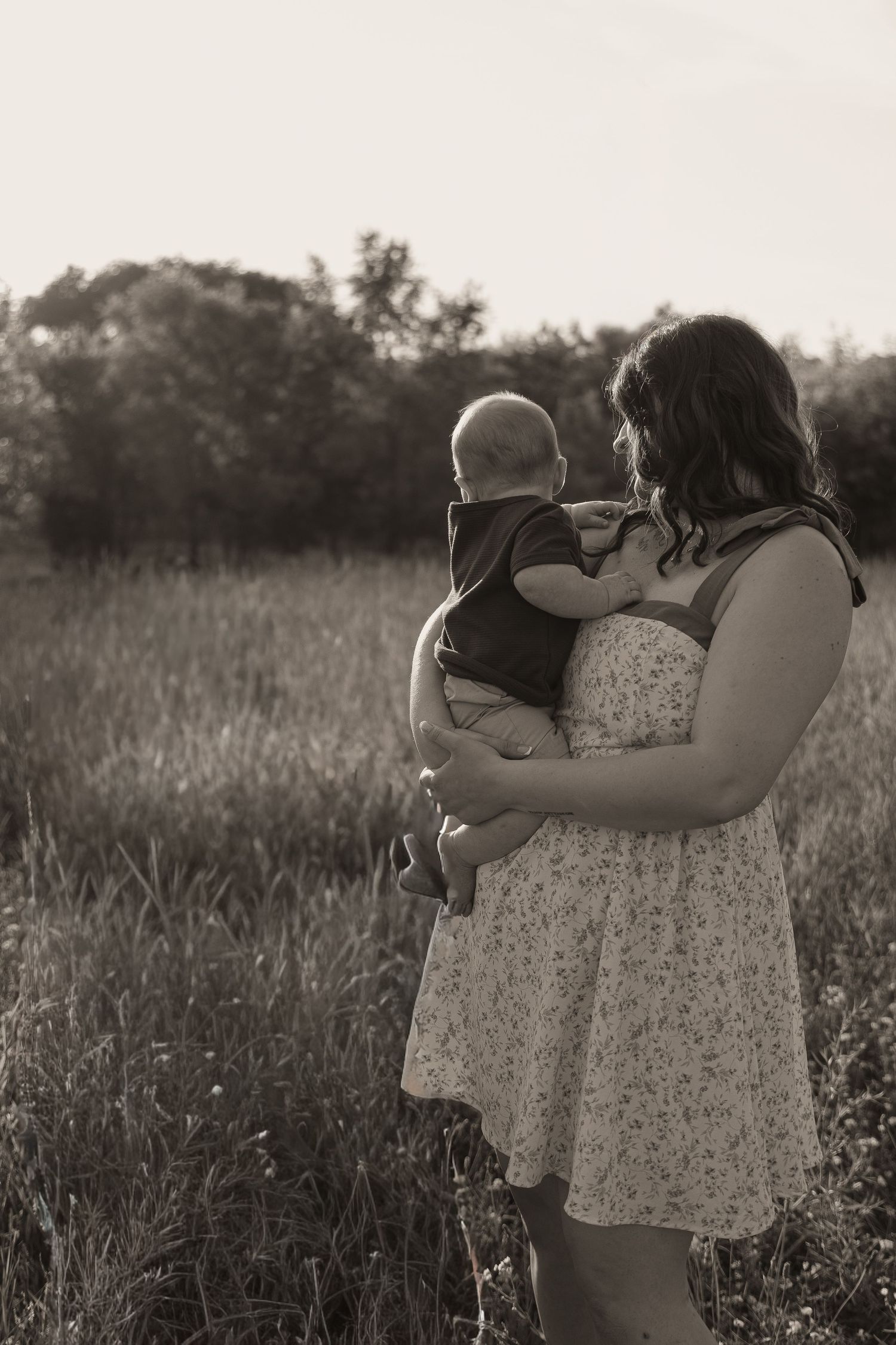 A series of black and white photos showing a parent and child embracing in a field of tall grass at sunset.