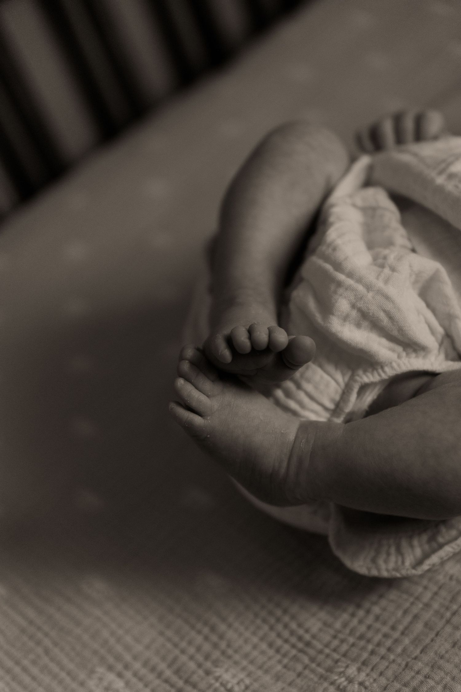 Close-up black and white image of tiny infant hands being gently held.