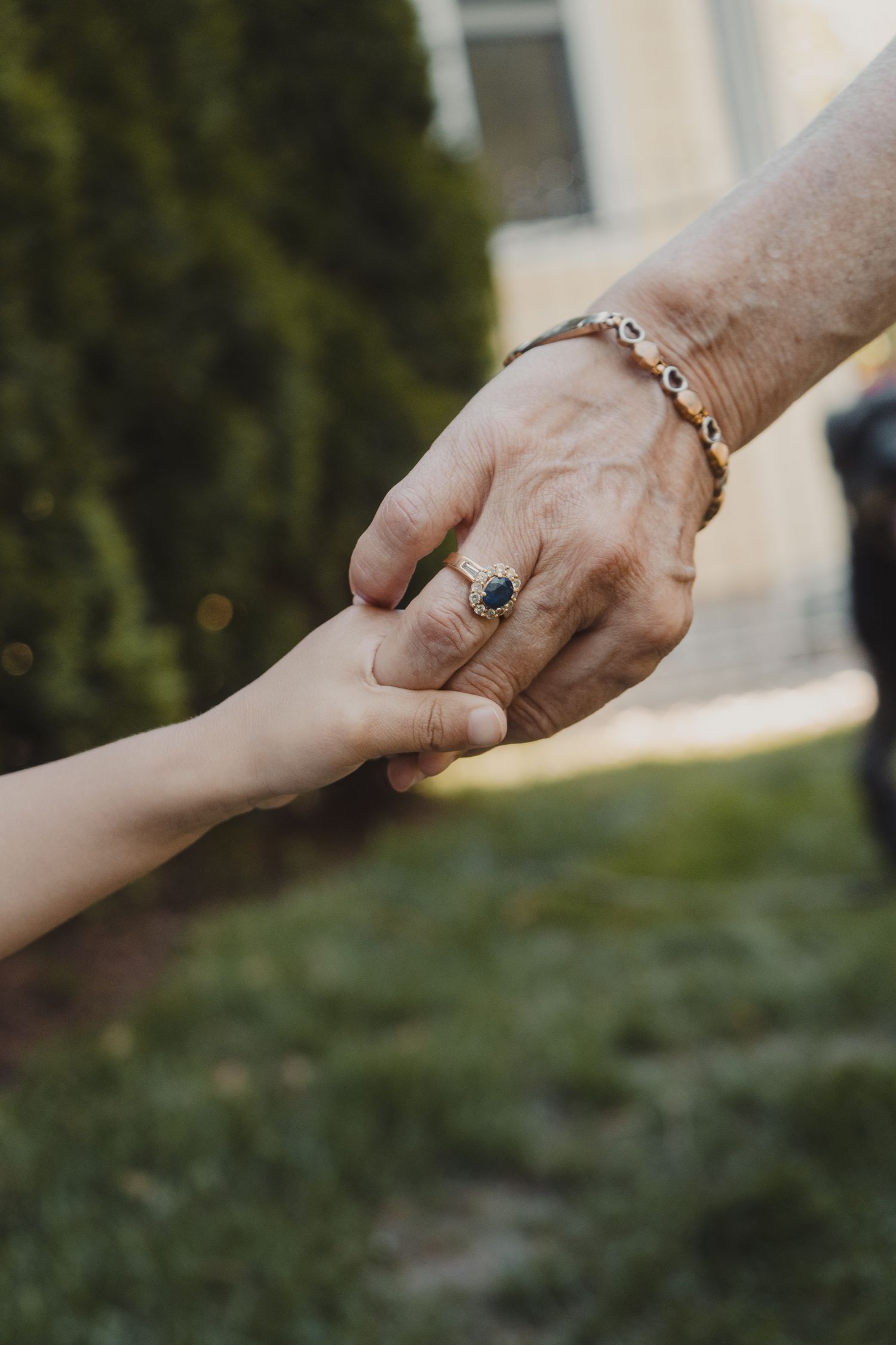 Family Photography | Erin Ontario, James Glac