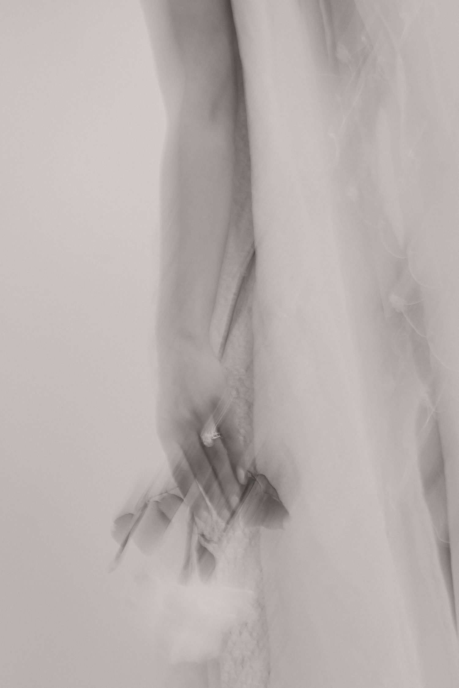 Bridal Studio Shoot | James Glac Photography, Erin Ontario