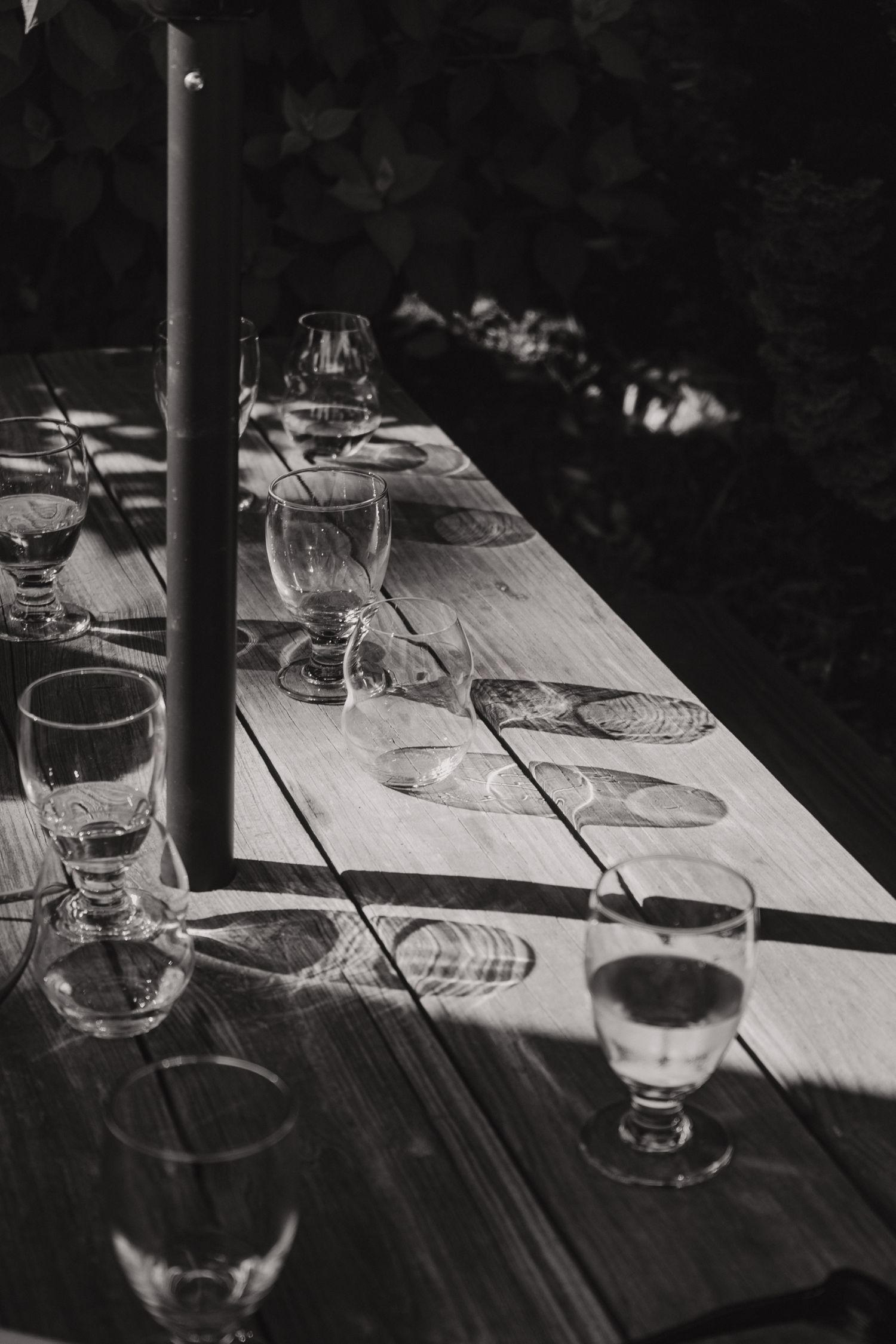 Cat and Seb, Niagara on the lake Ontario - Wedding photography by James Glac