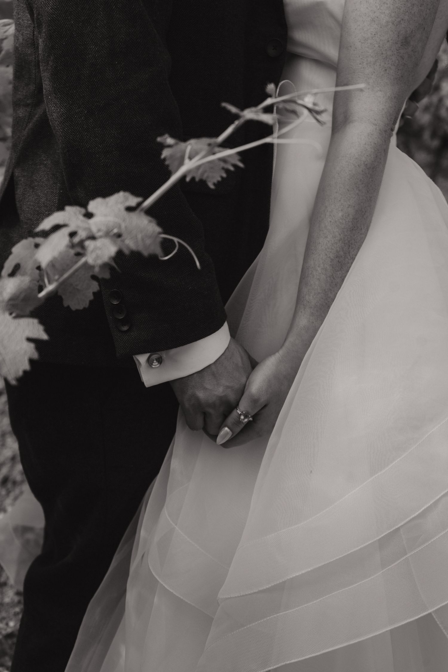 Cat and Seb, Niagara on the lake Ontario - Wedding photography by James Glac