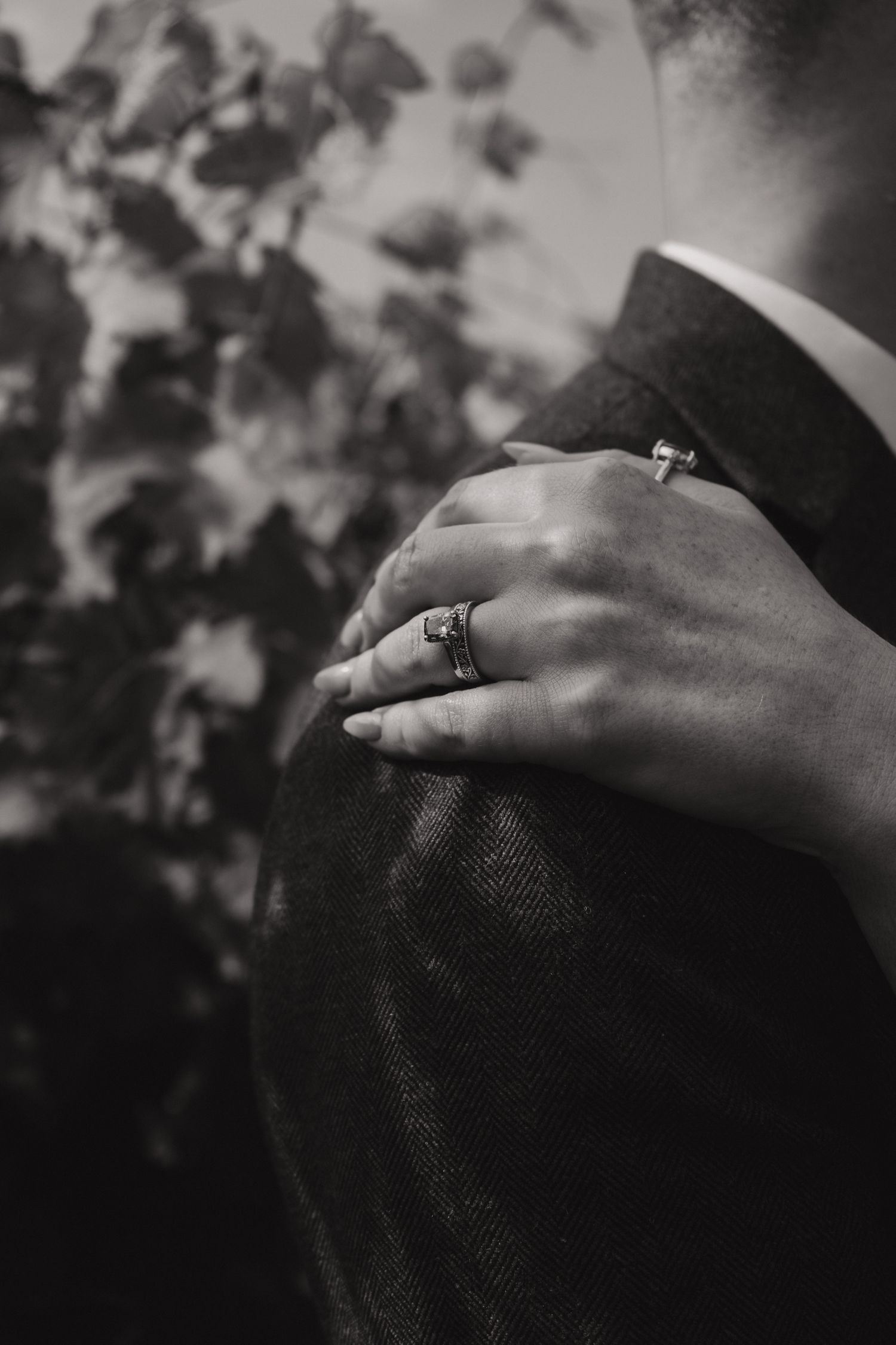 Cat and Seb, Niagara on the lake Ontario - Wedding photography by James Glac