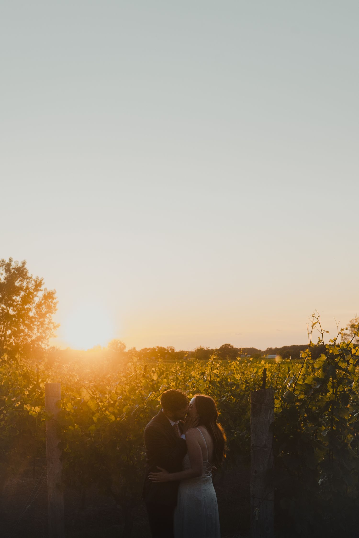 Cat and Seb Wedding, James Glac Photography, Niagara on the lake, Ontario