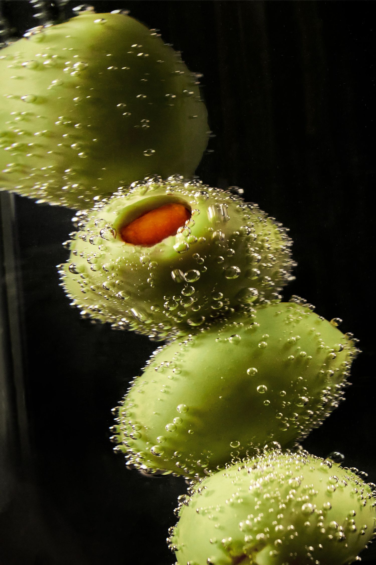 olives, Sheridan College, James Glac Photography, Oakville, Ontario