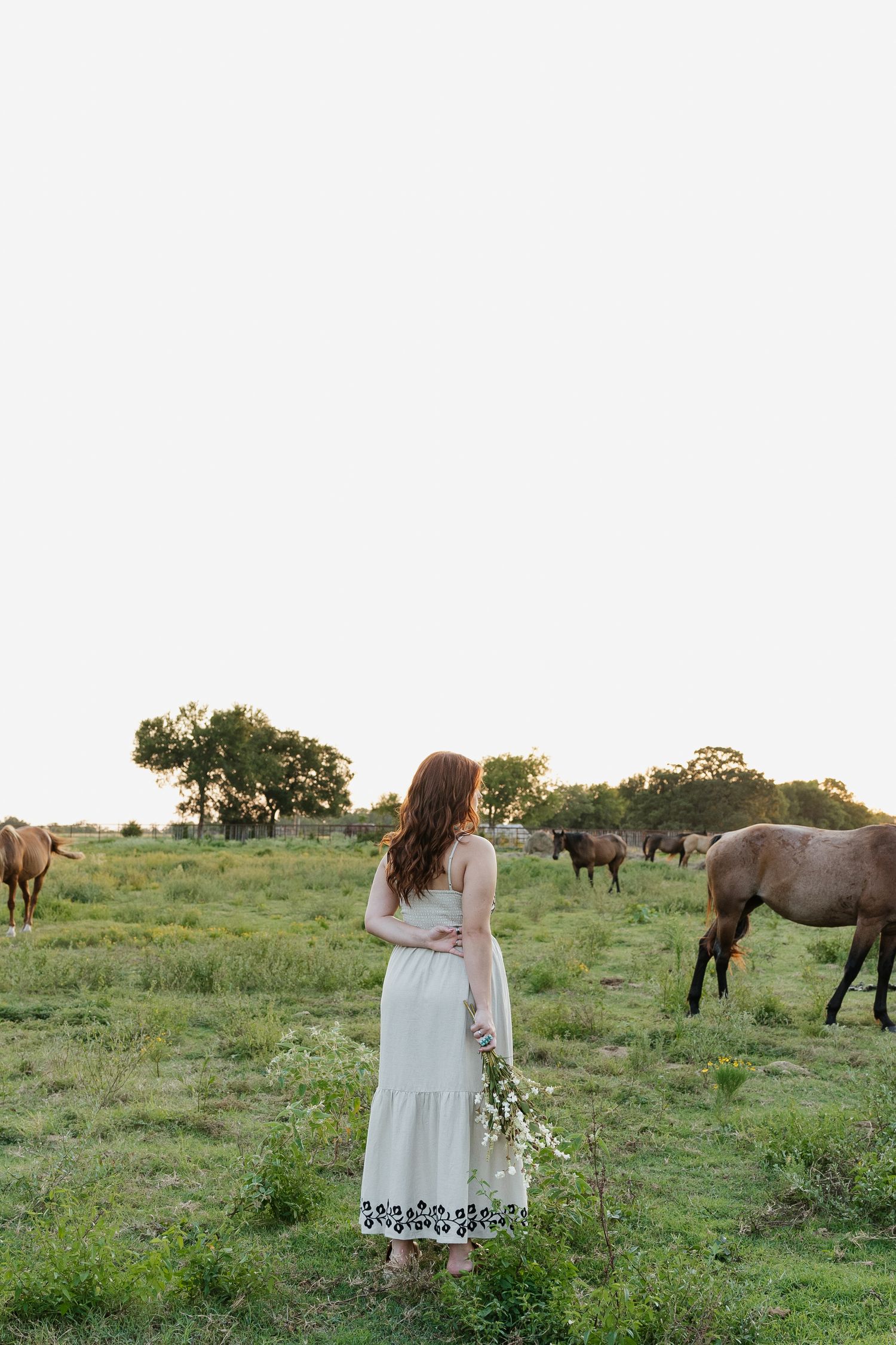 Young woman in white embroidered sundress standing in a field with horses grazing in the background at golden hour.