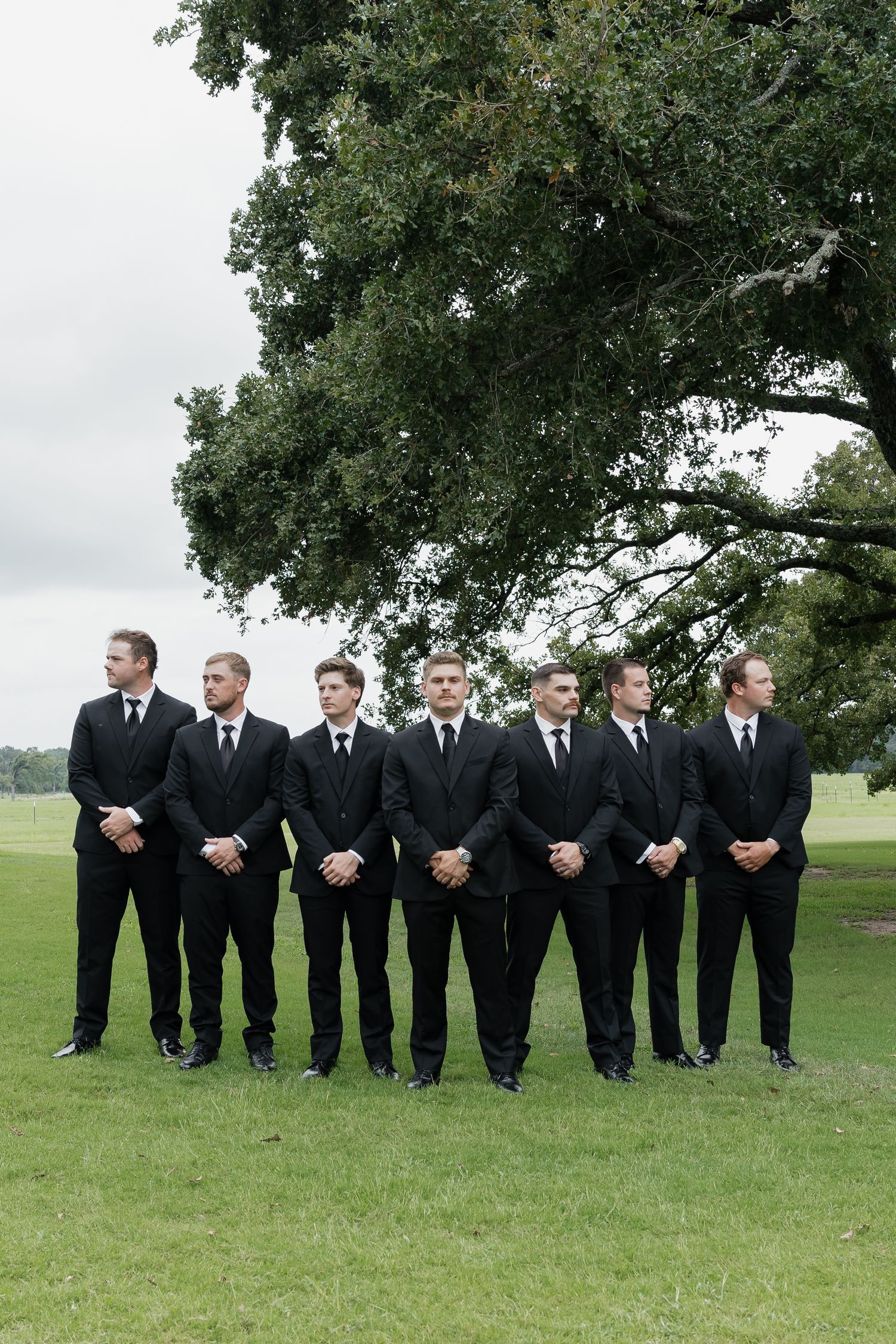 Seven groomsmen in matching black suits standing in a row on green lawn beneath large oak tree.