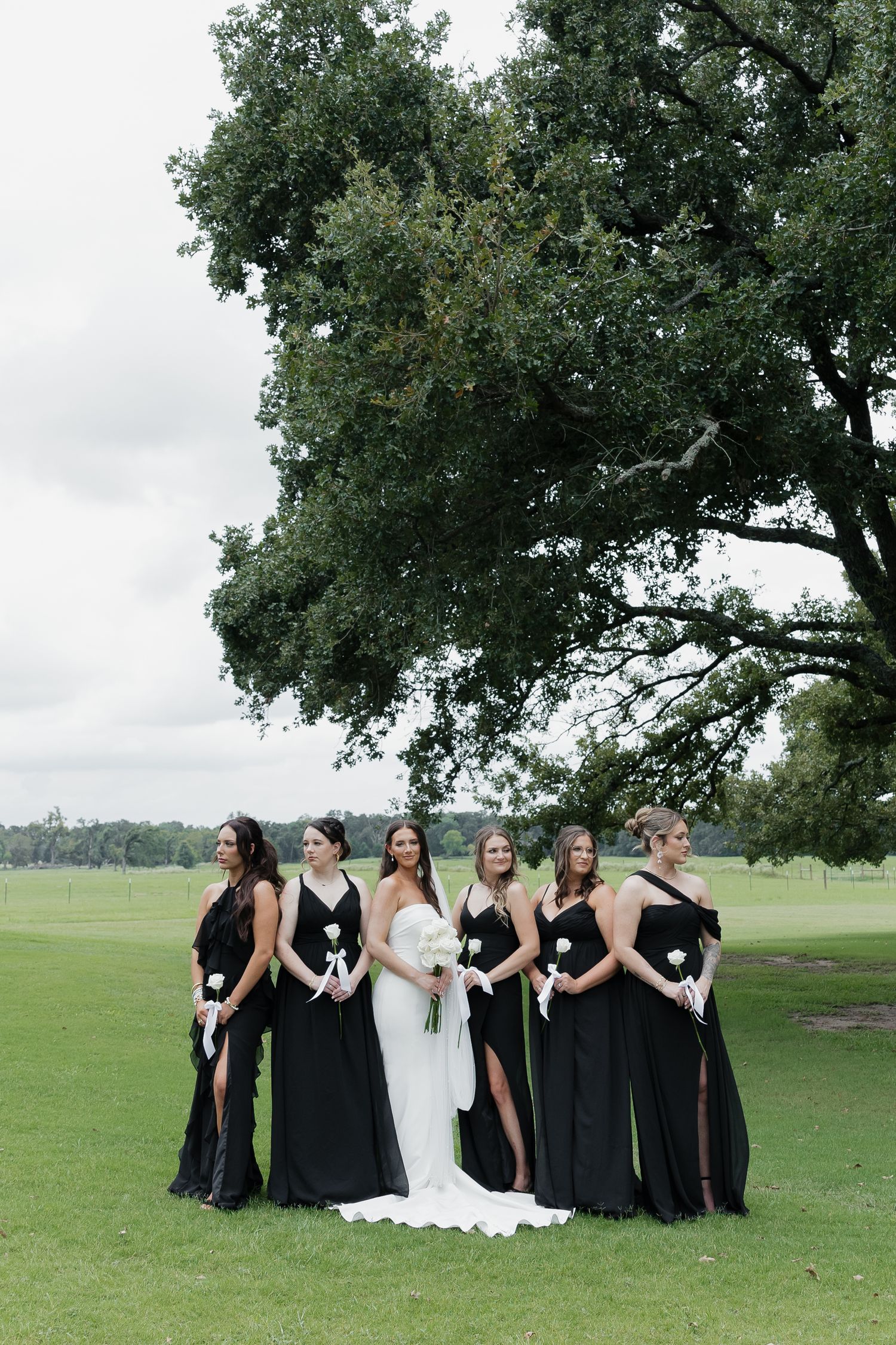 Bride in white gown poses with five bridesmaids in black dresses beneath large oak tree on golf course.