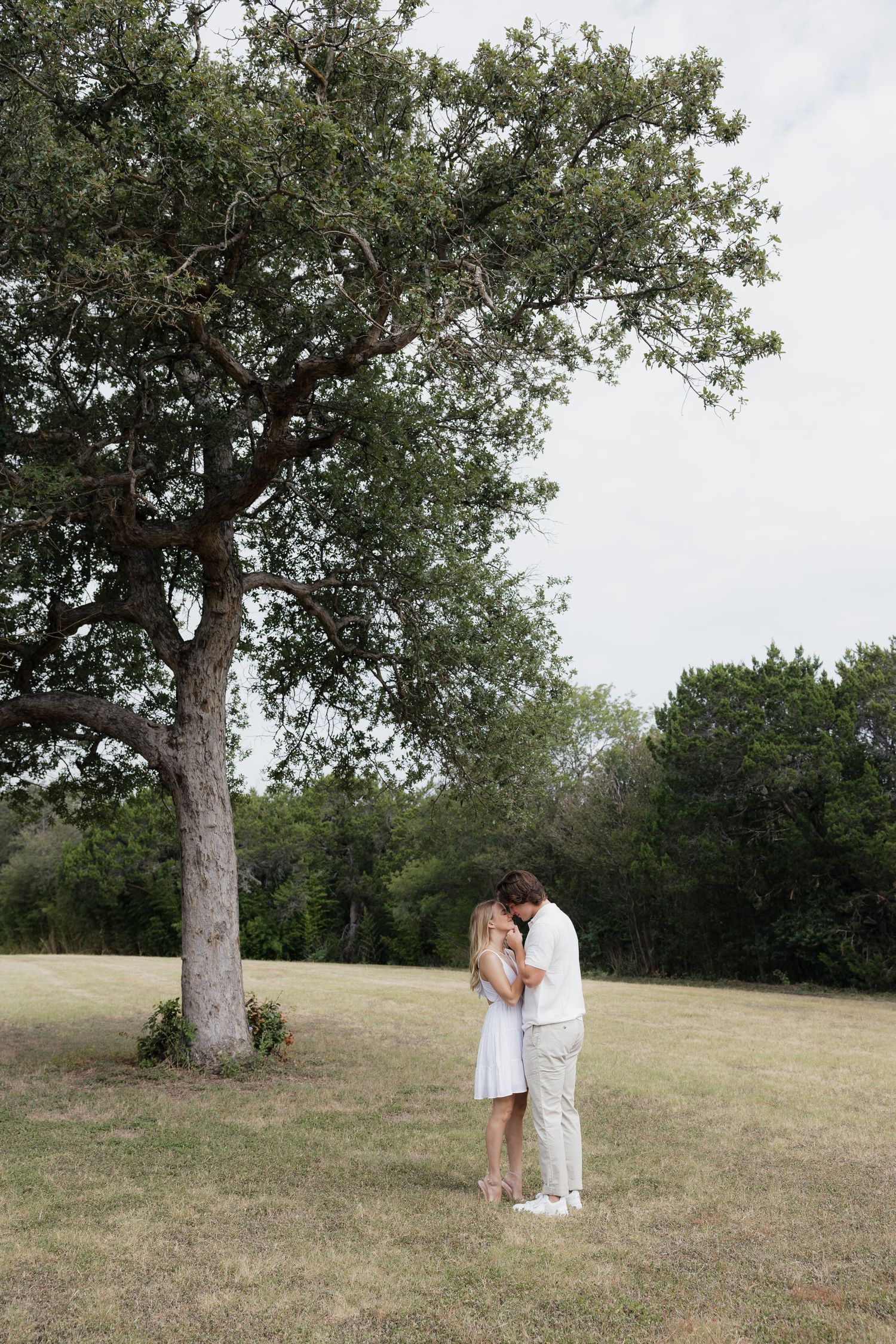 Couple embracing under a large oak tree in an open grassy field during an outdoor engagement photo session.