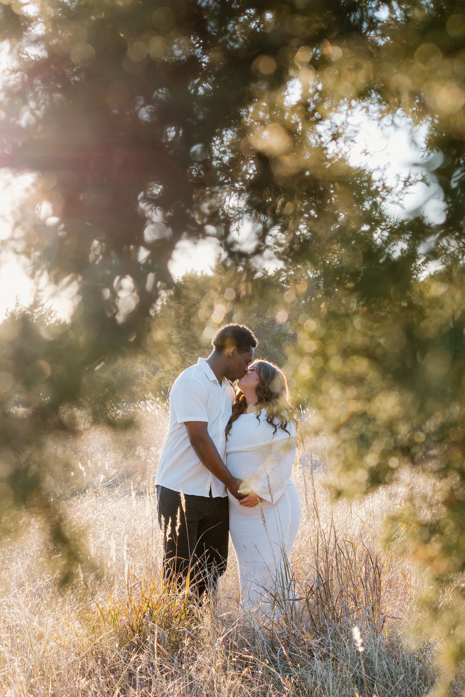 Couple sharing a romantic kiss in golden sunlit field framed by glowing tree branches.