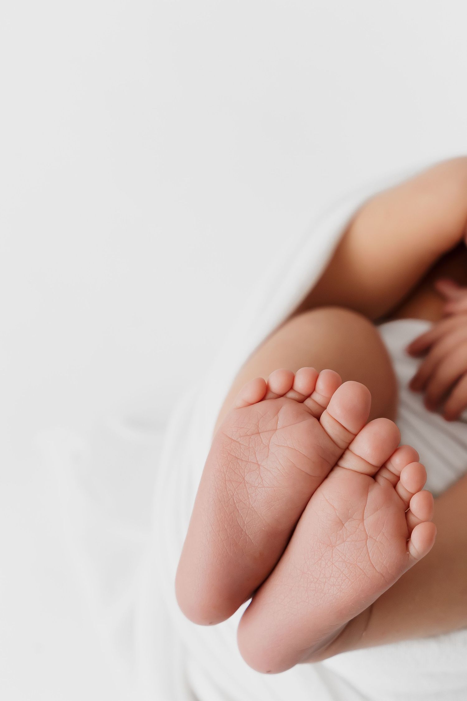 Close-up of tiny newborn baby feet against white background.