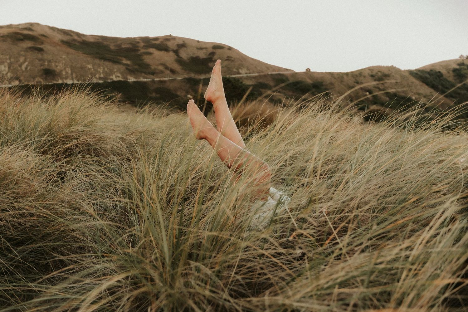 Windswept coastal grassland with rolling hills in the background.